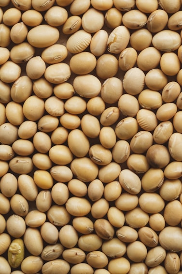 A close up of a pile of nuts