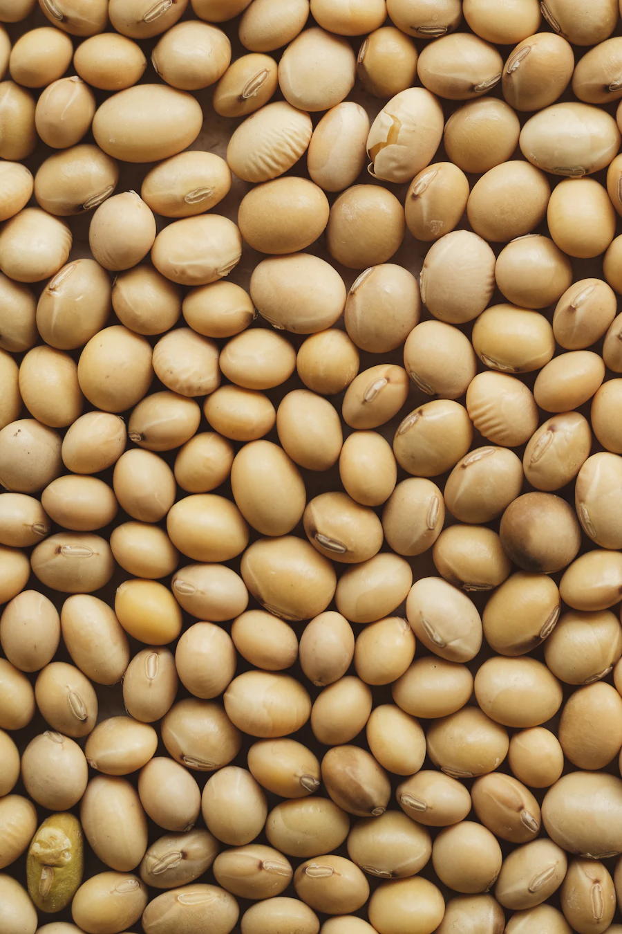 Soybeans