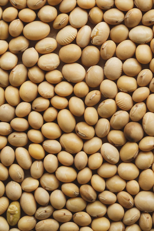 A close up of a pile of nuts