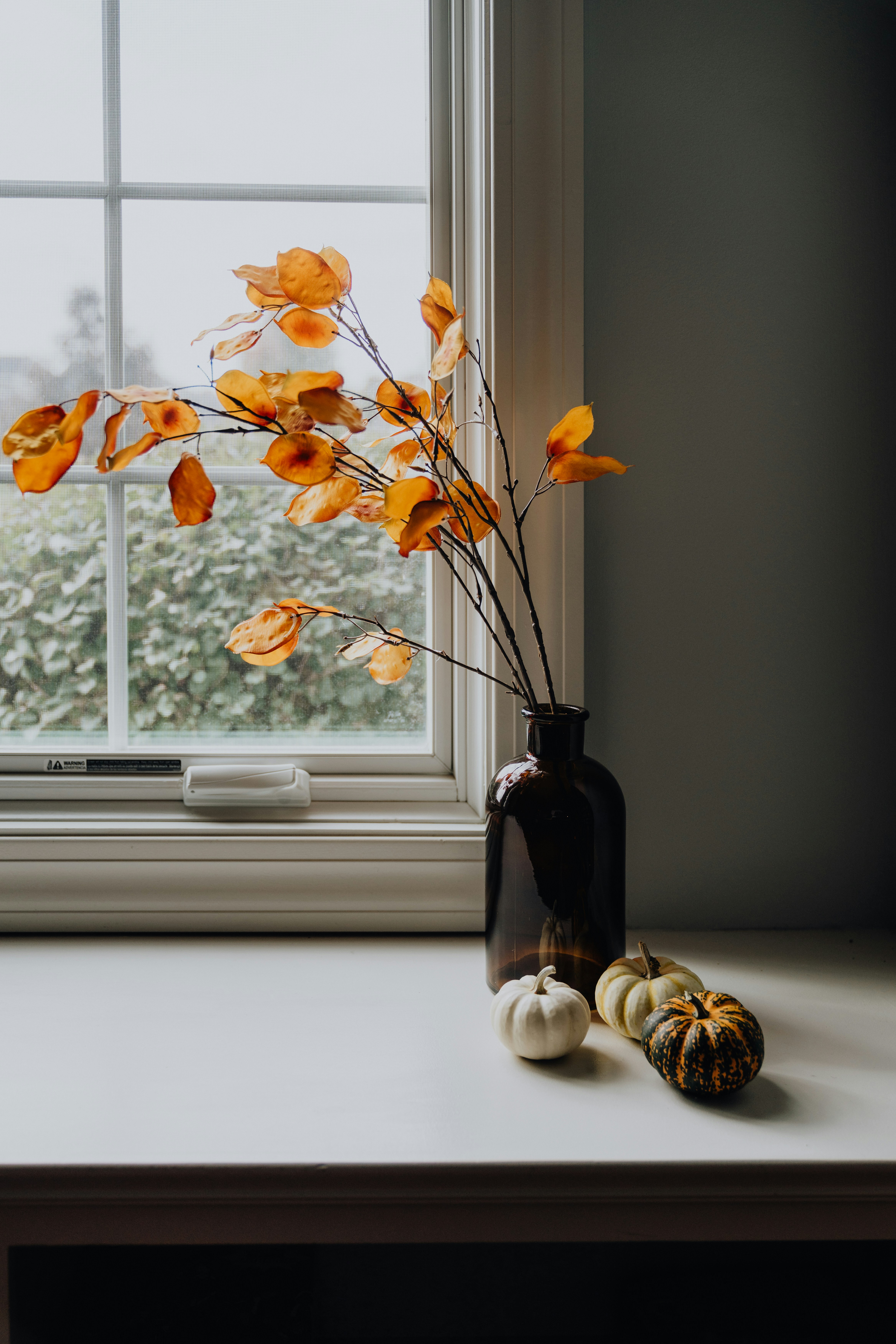 Photo by kellysikkema