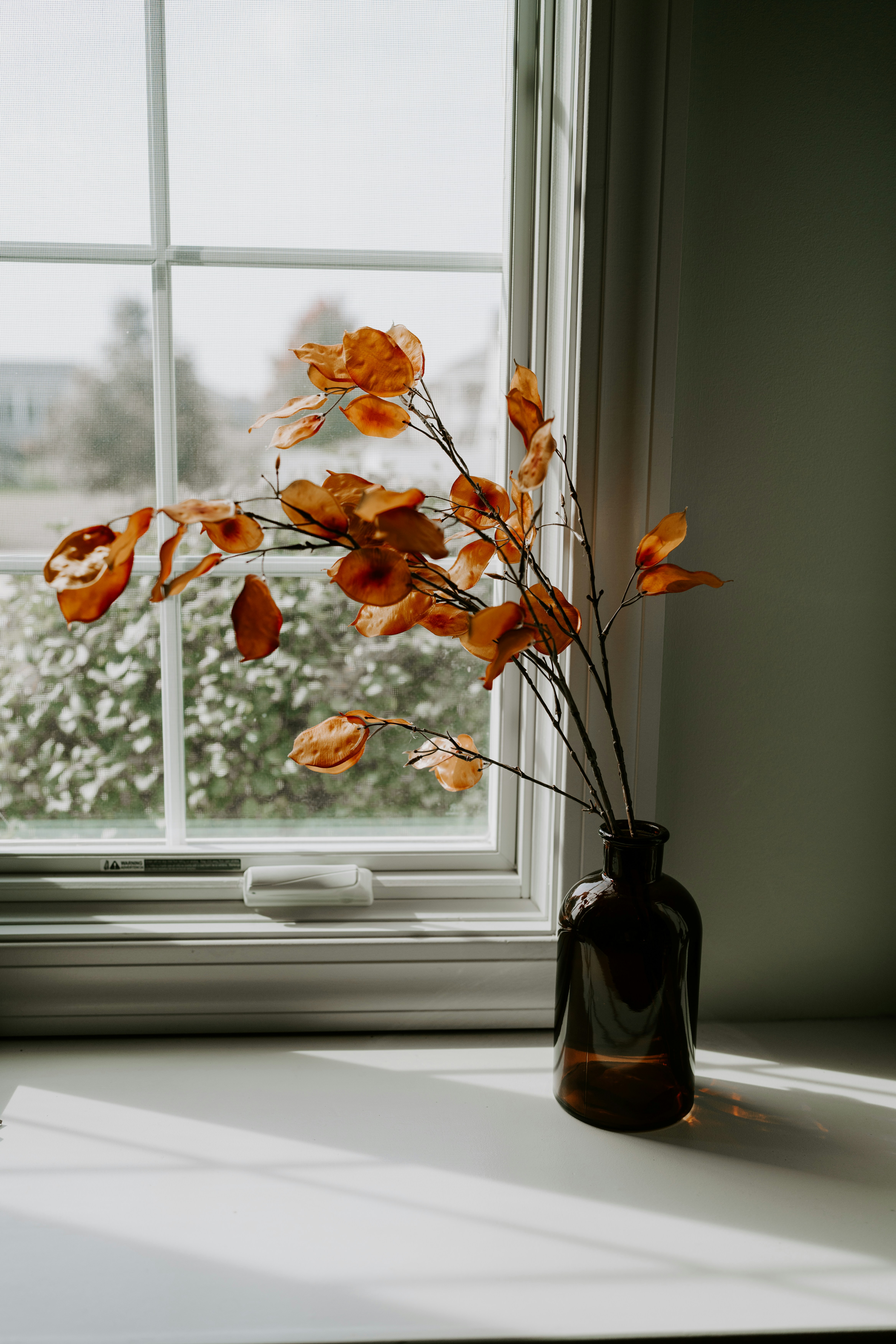 Photo by kellysikkema