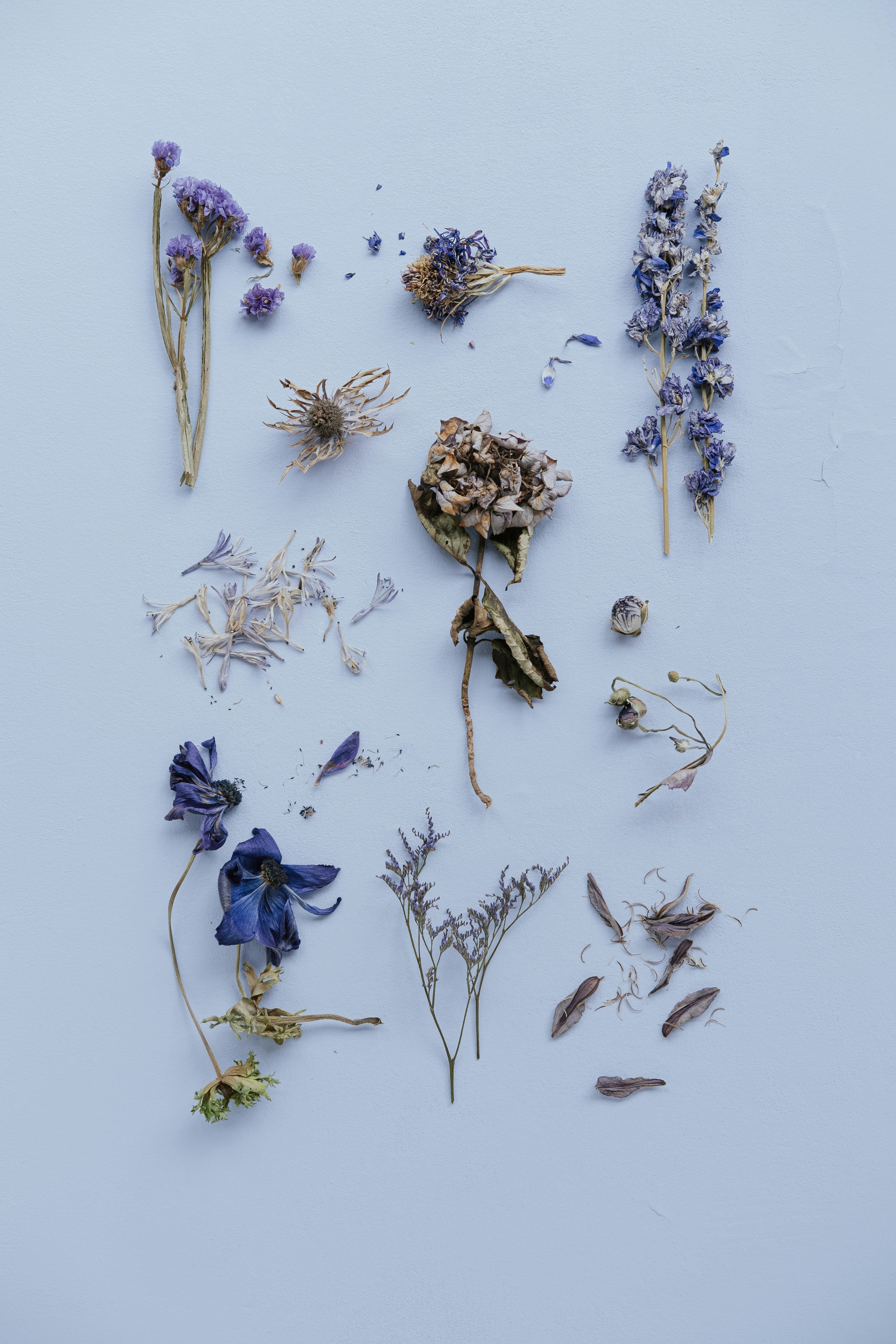 Photo by 360floralflaves