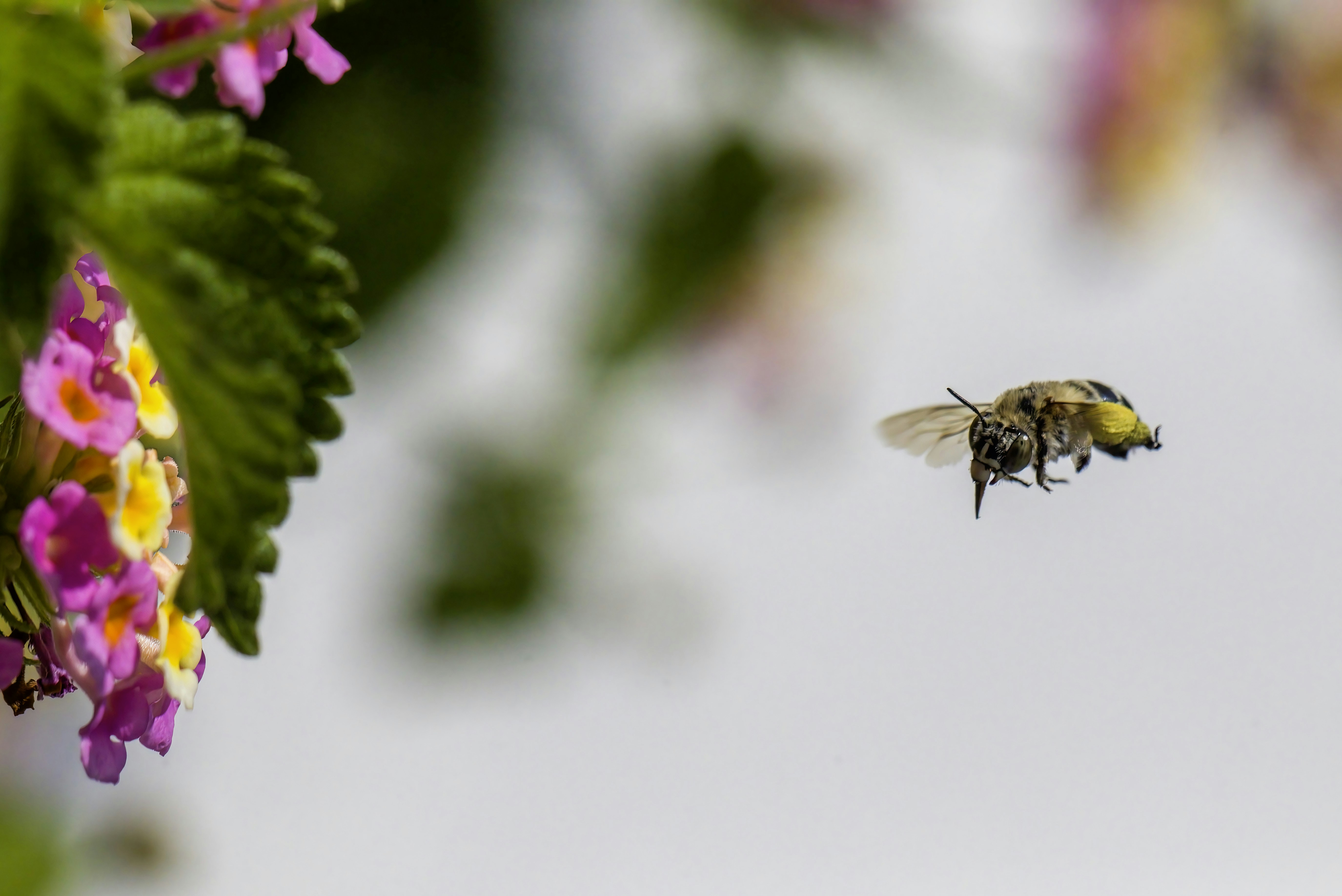 Photo by erik_karits