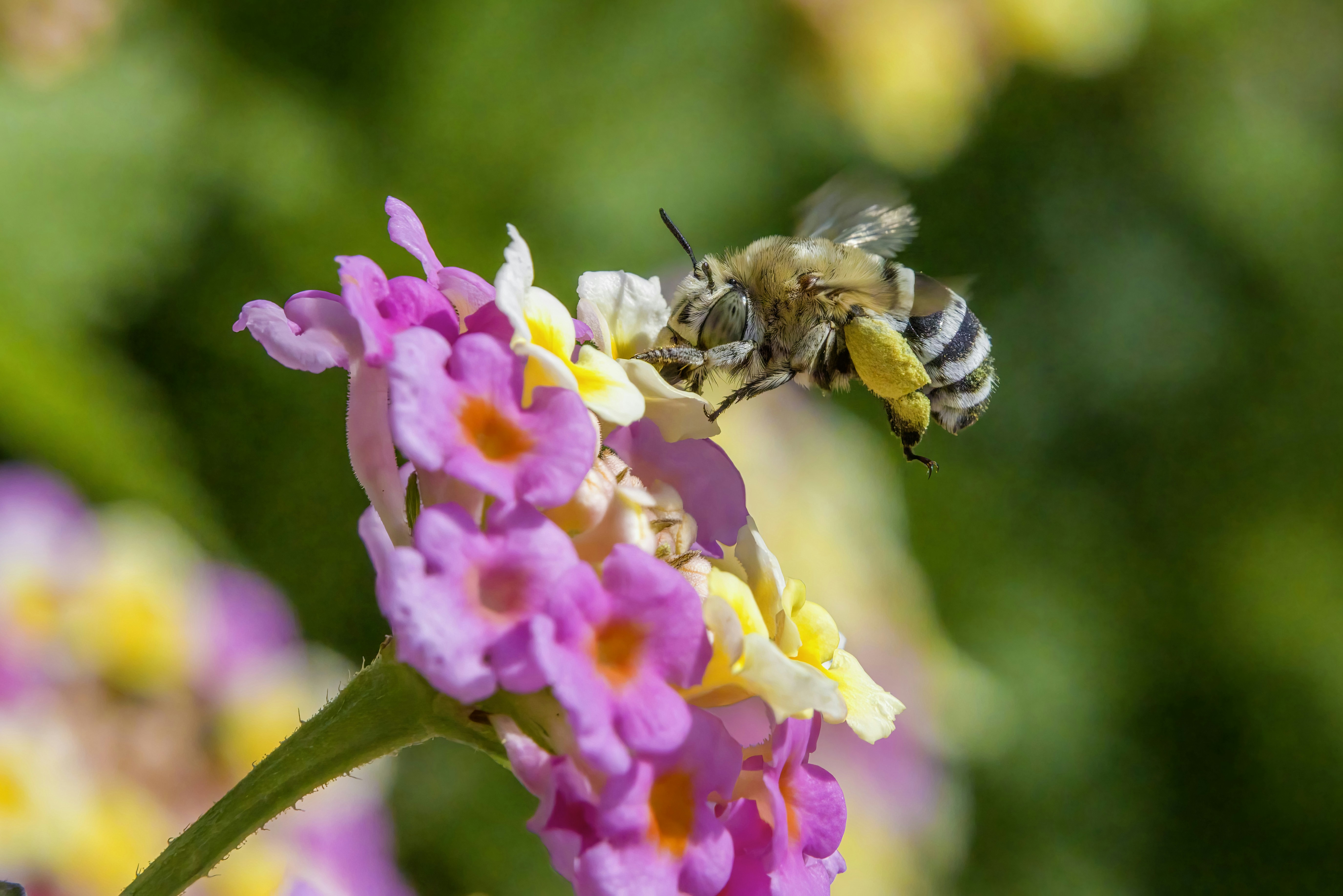 Photo by erik_karits