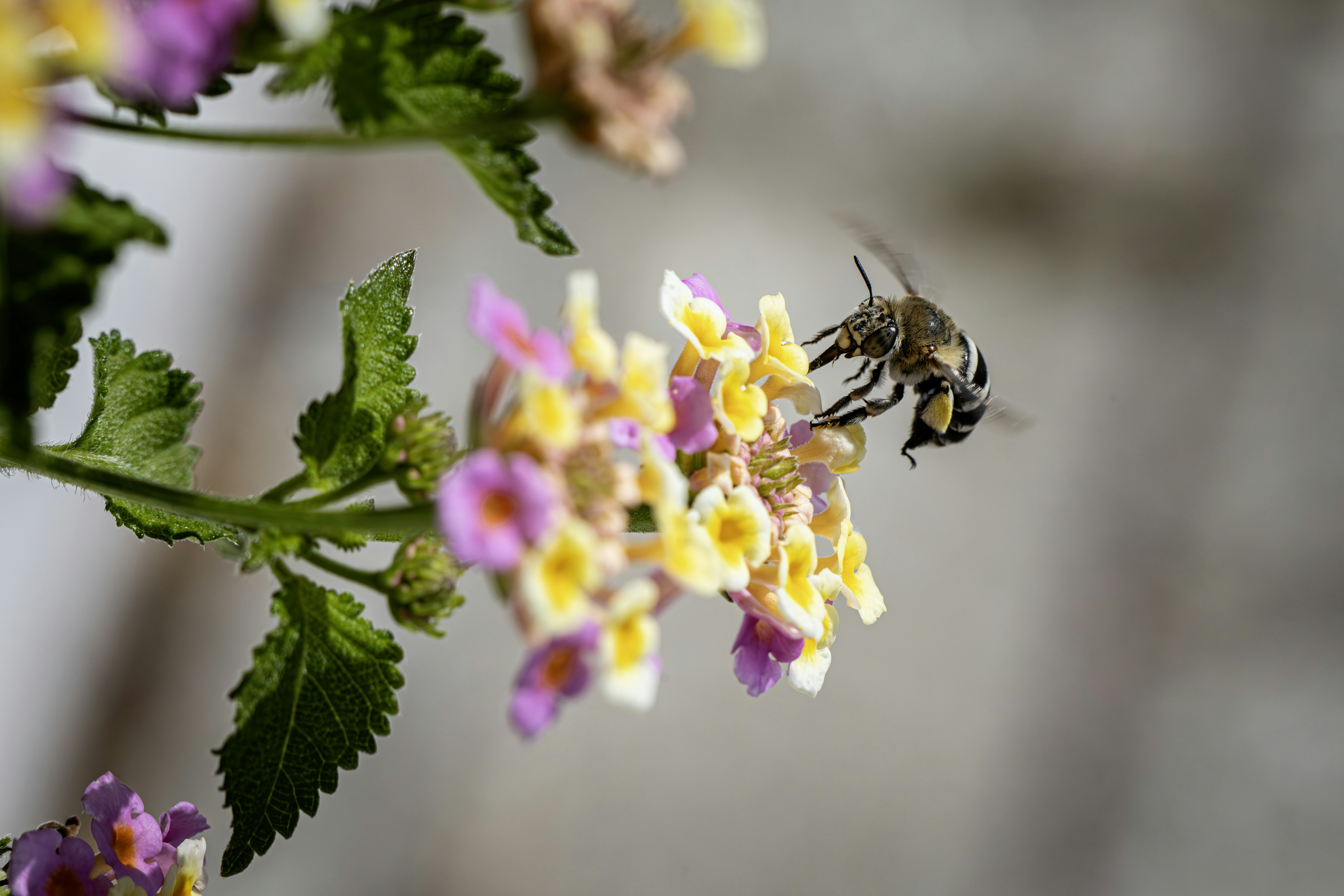 Photo by erik_karits