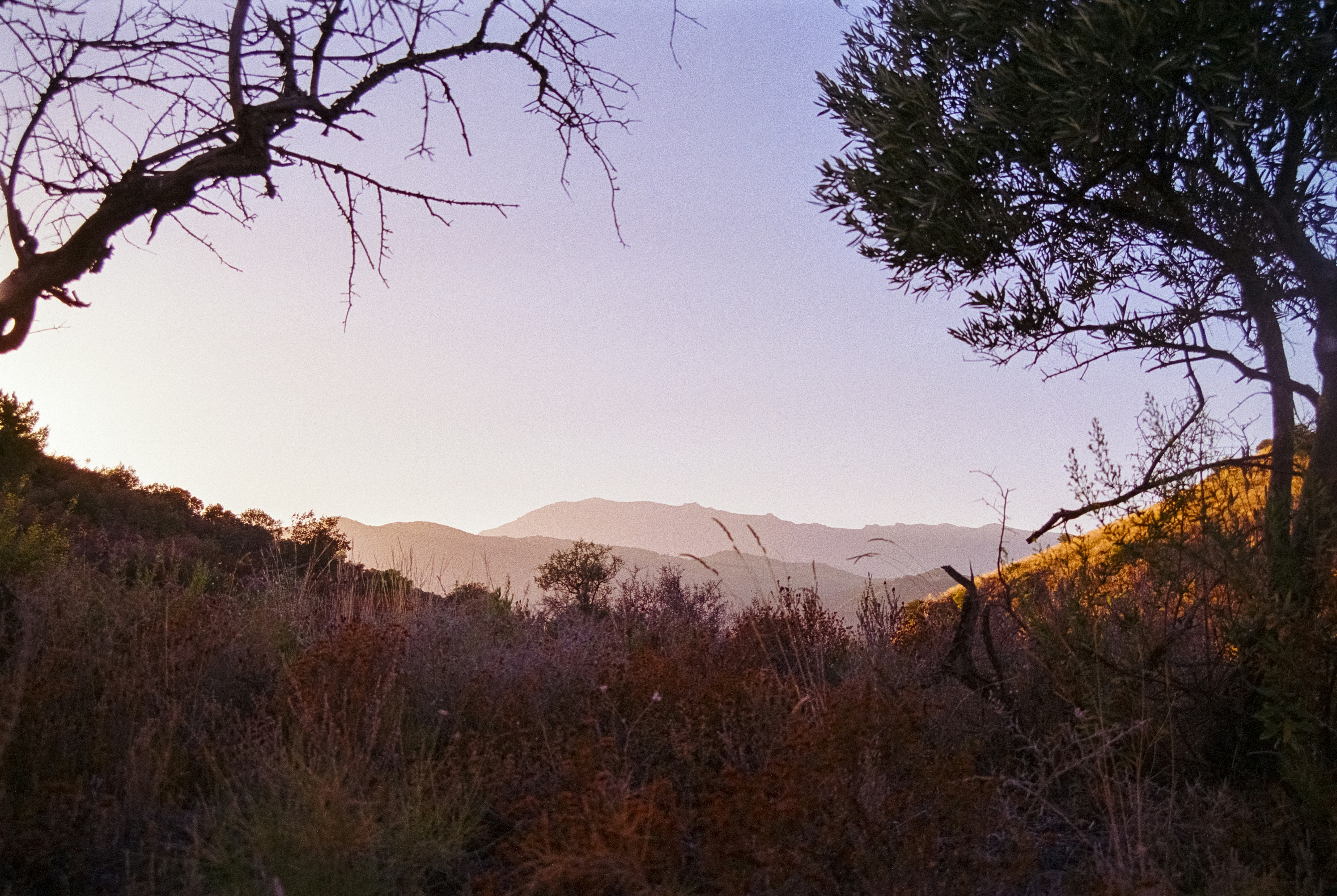 Photo by artistseyes