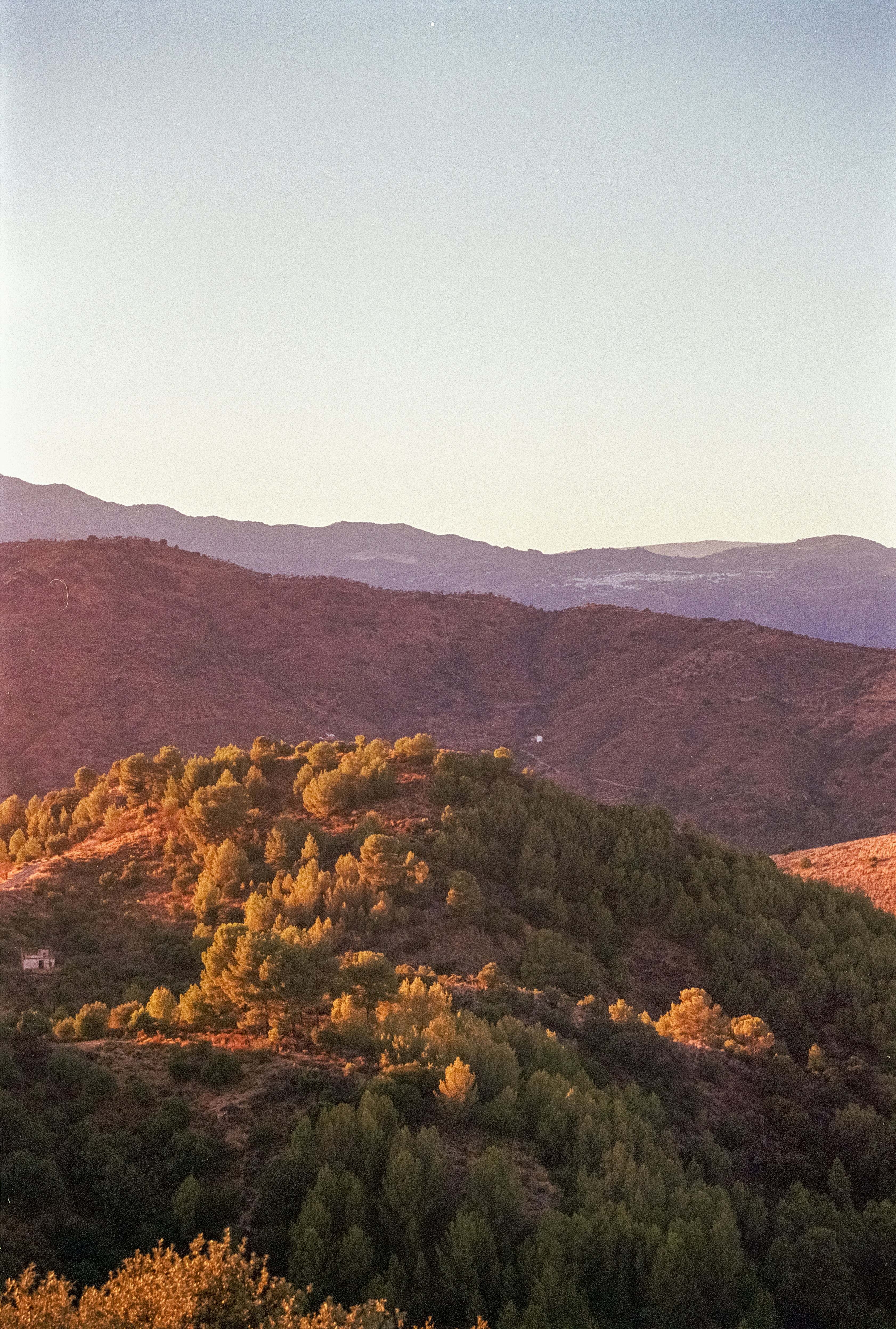 Photo by artistseyes