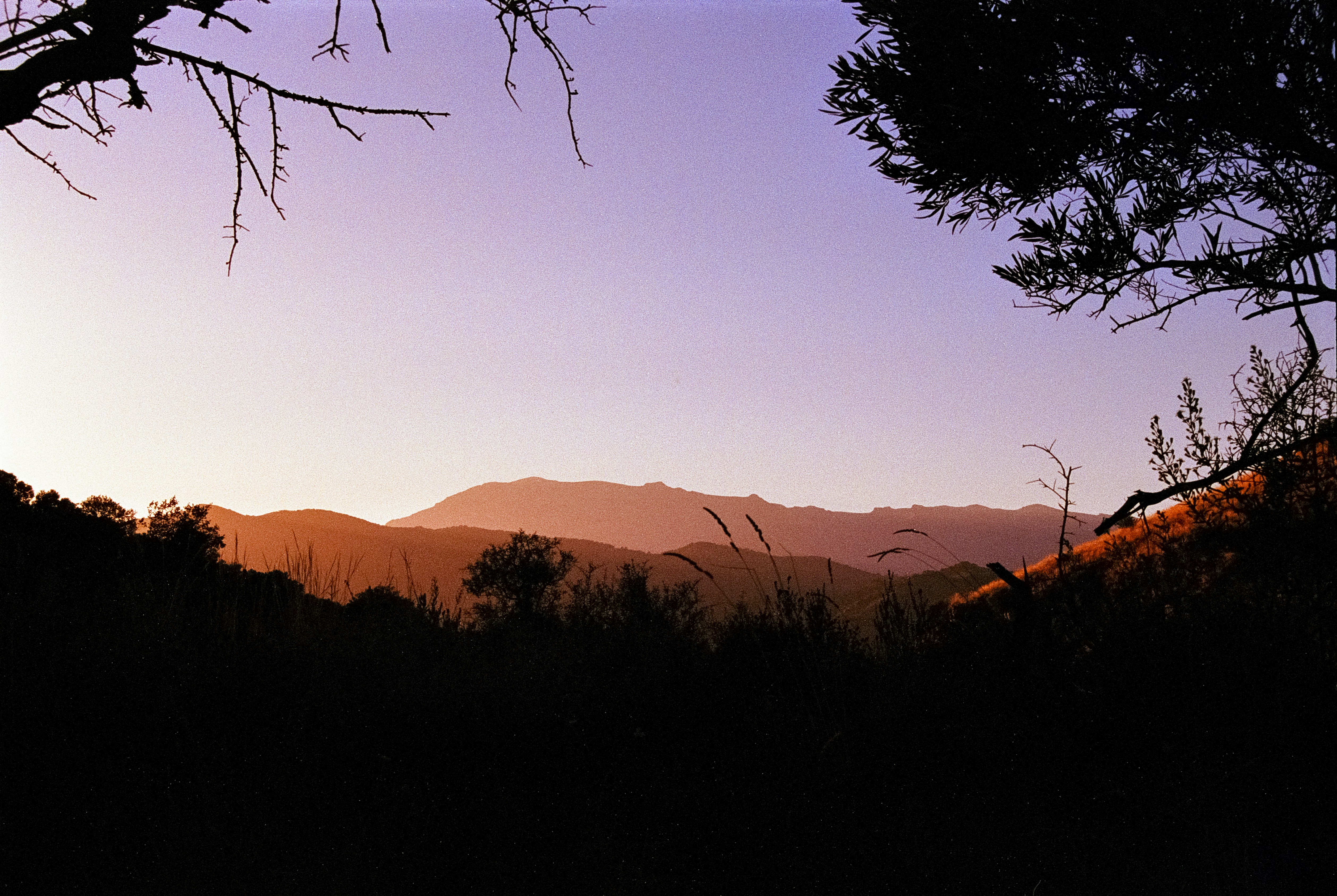 Photo by artistseyes