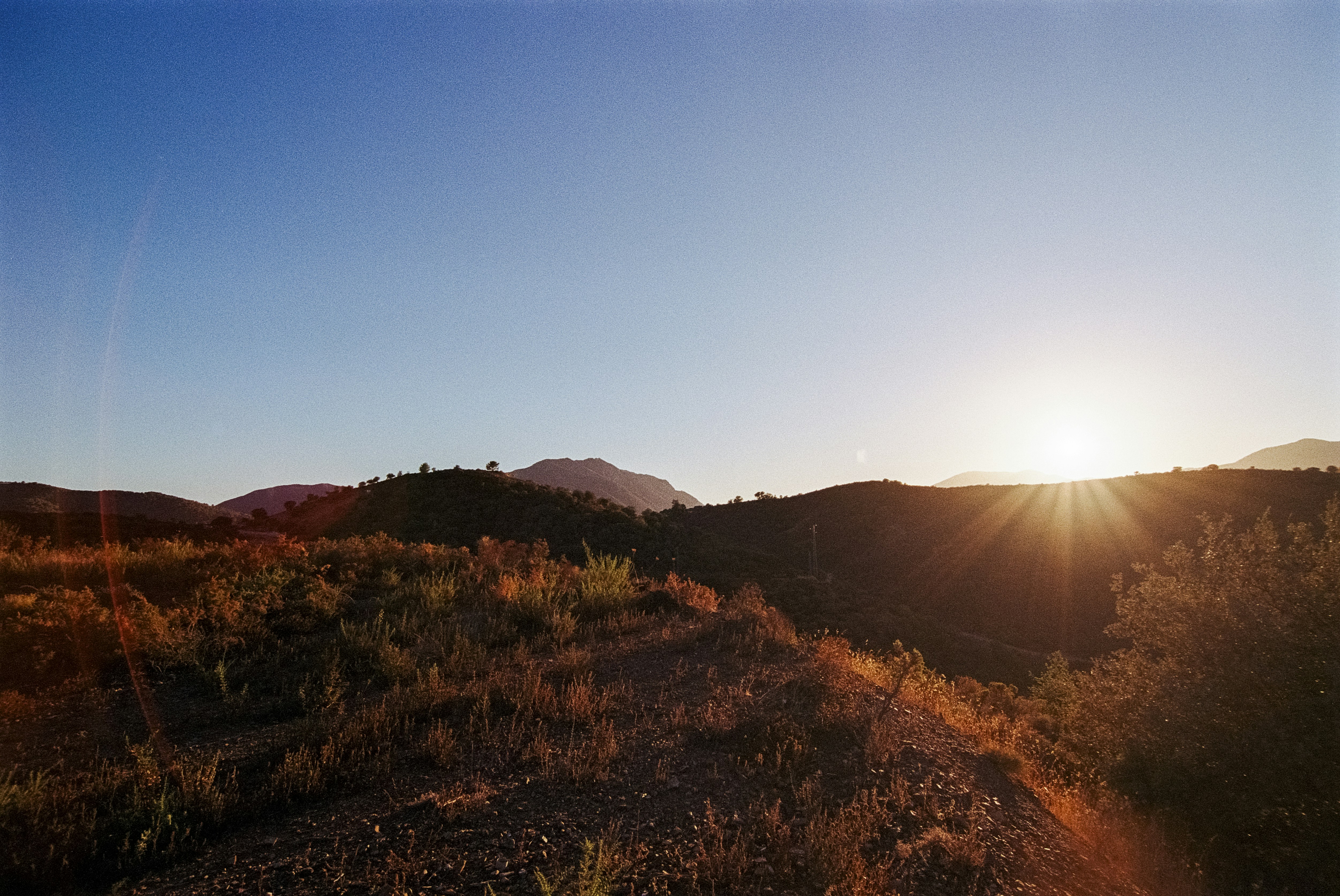 Photo by artistseyes