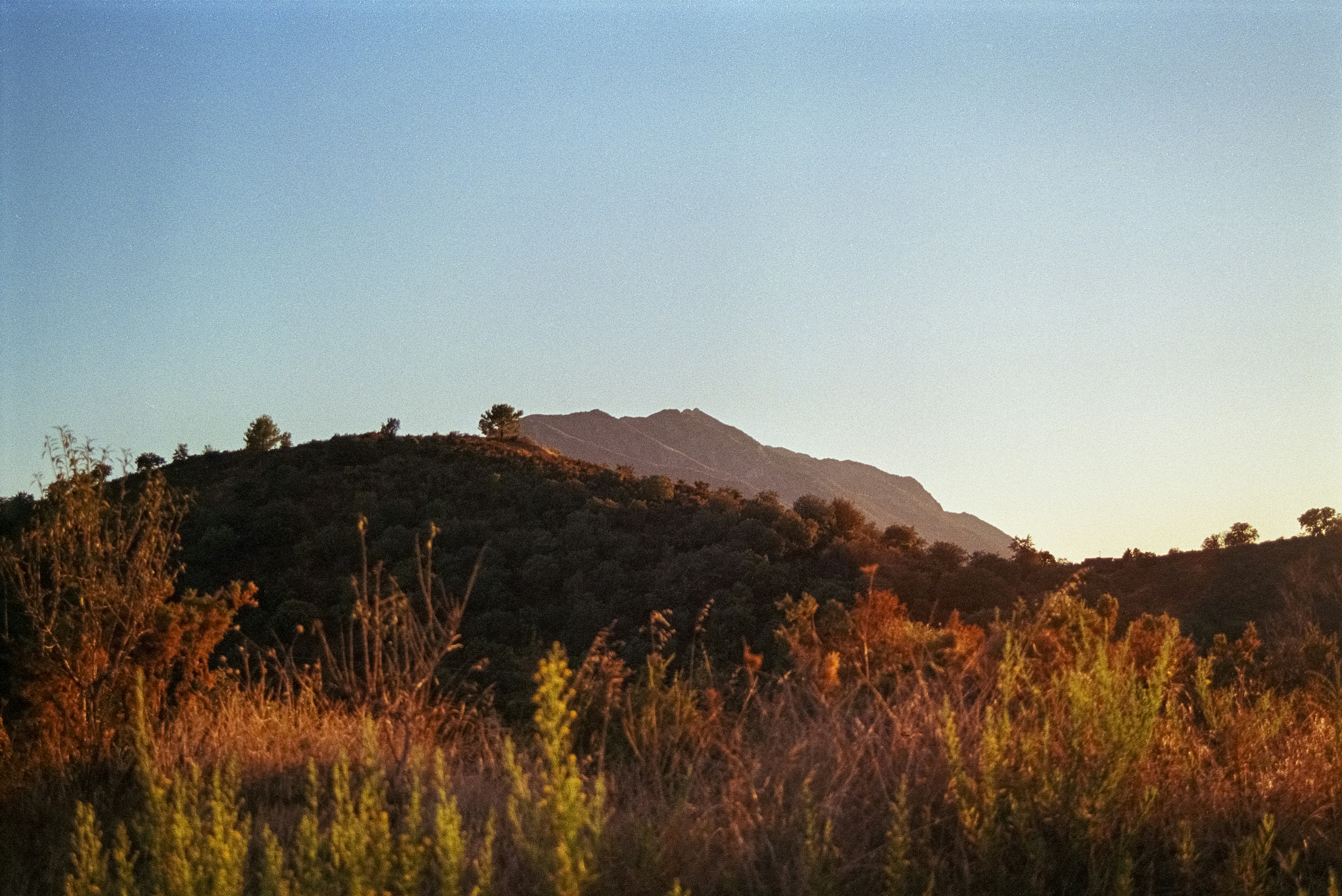 A grassy field with a mountain in the background, 