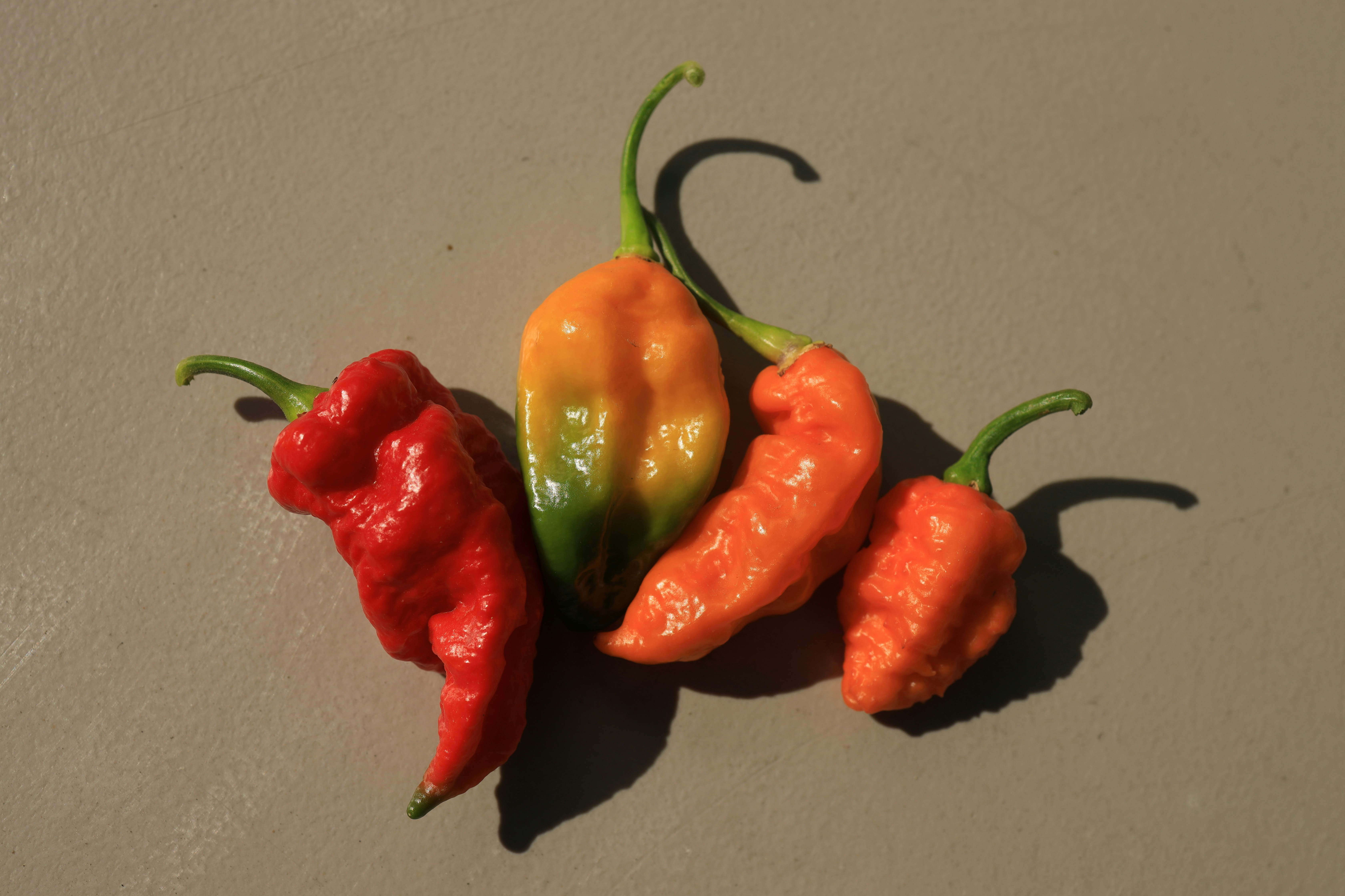 International Hot and Spicy Food Day