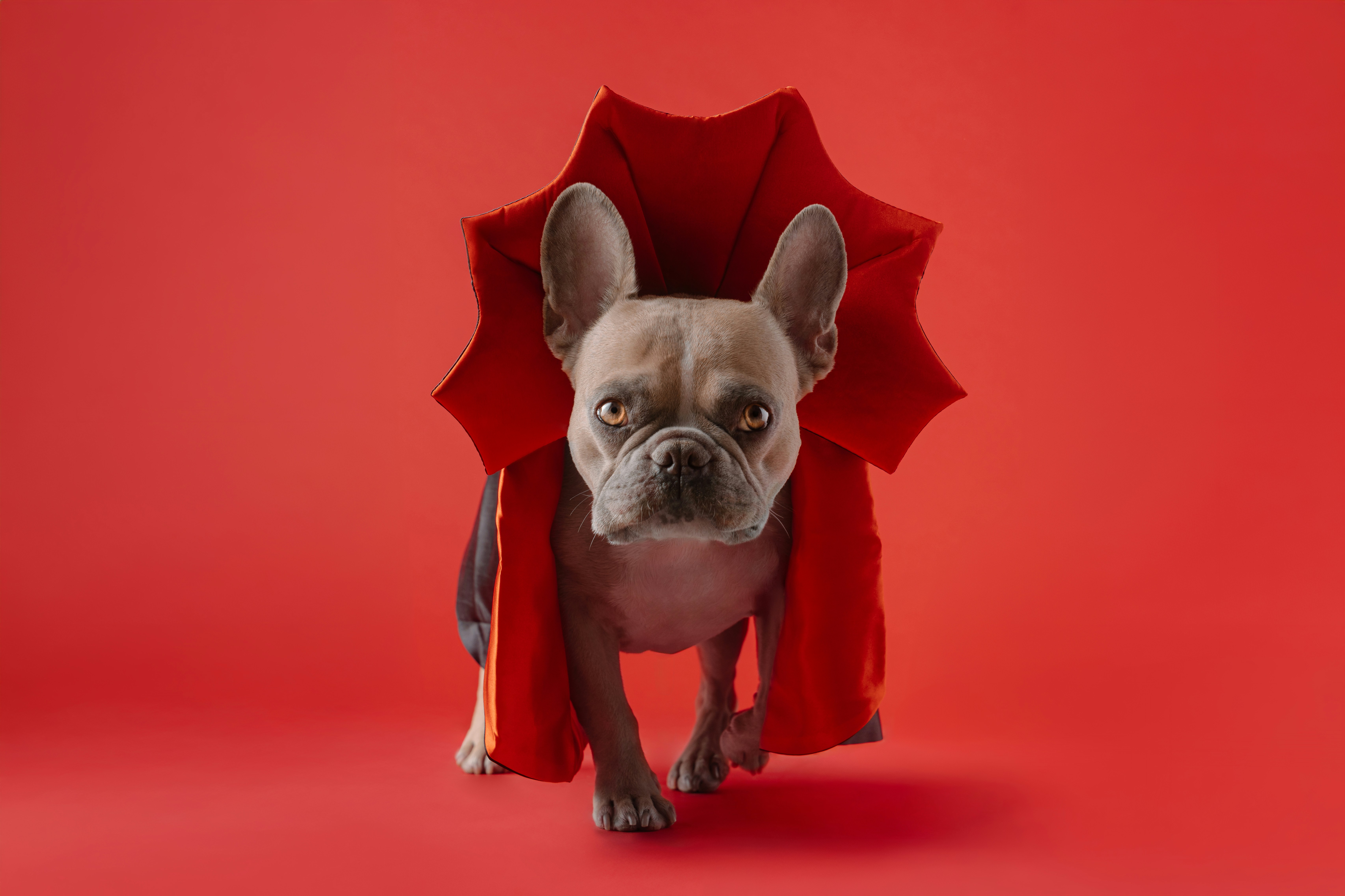 신축빌라 거래 시 유의사항: 안전한 거래를 위한 가이드