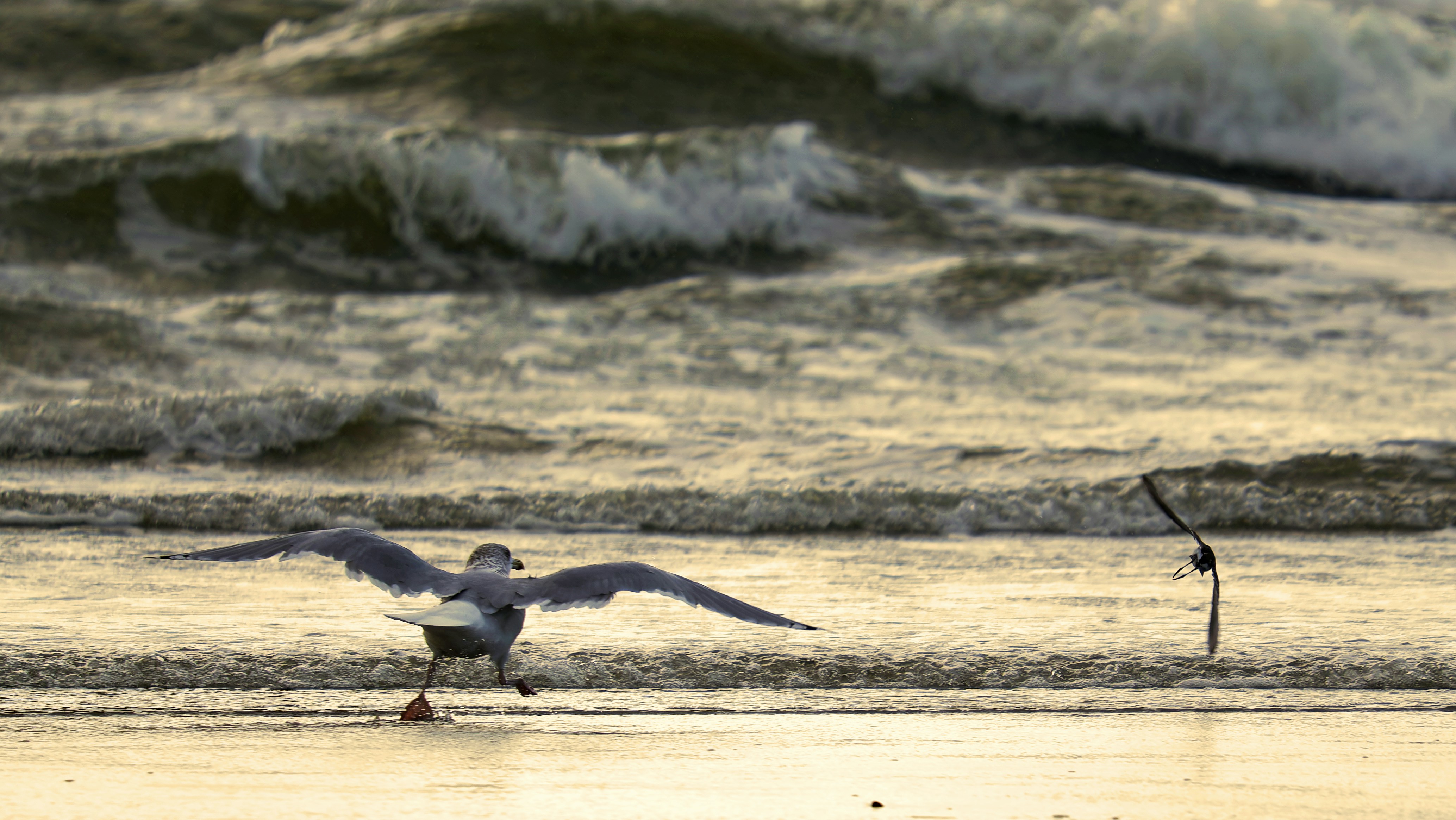 Photo by on_earth_in_space