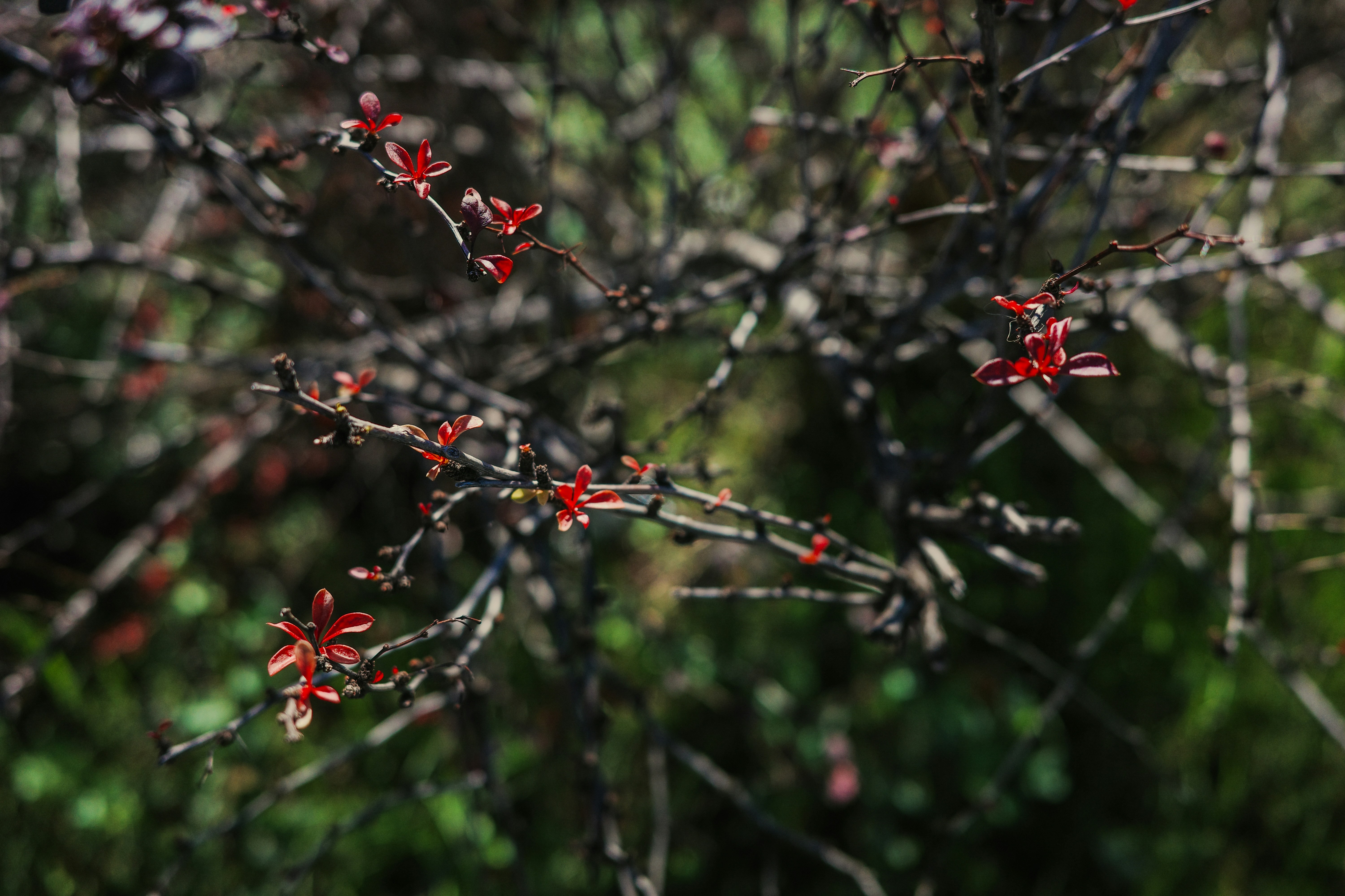 Photo by dmitrii_filatov