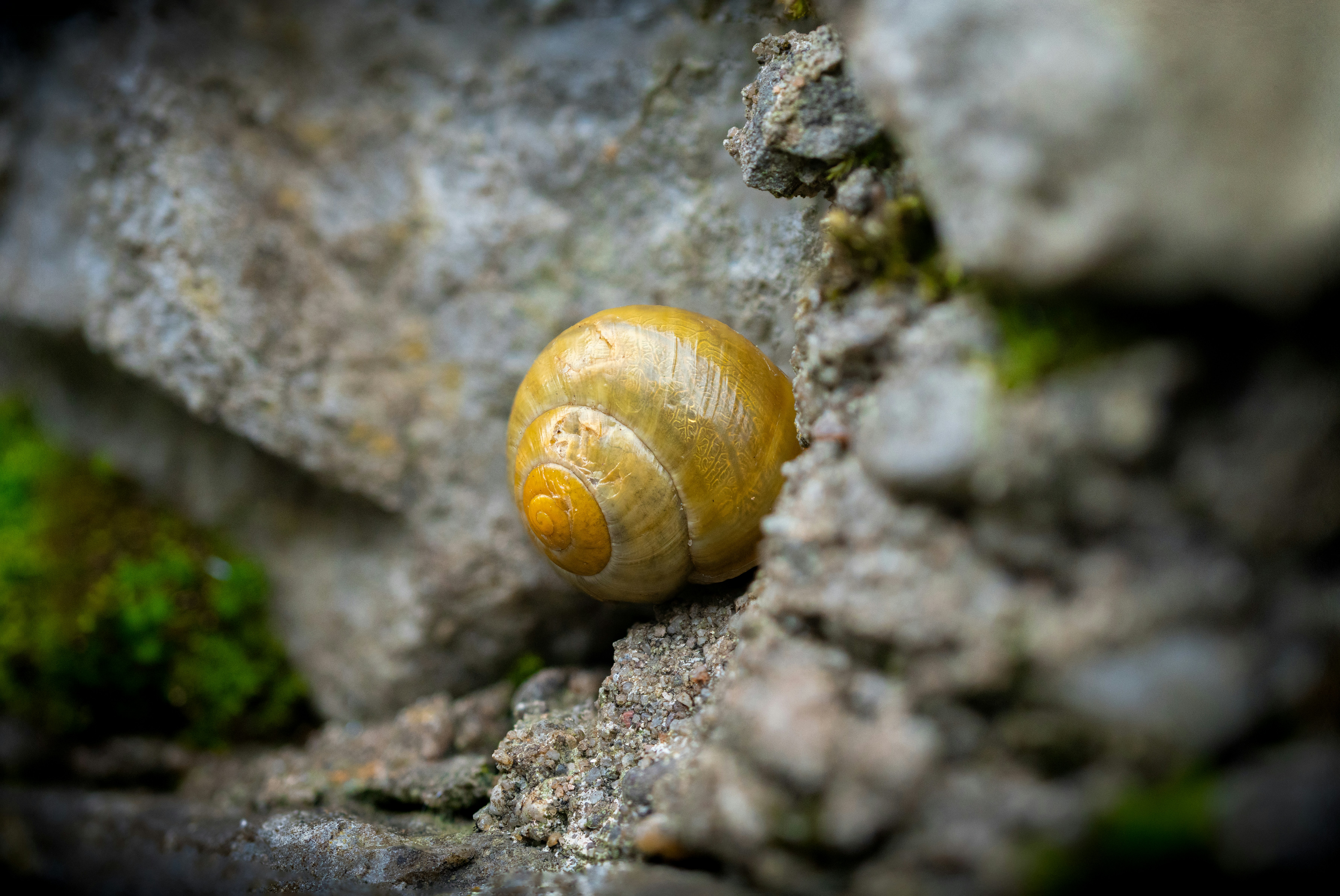 Photo by robertschwarz