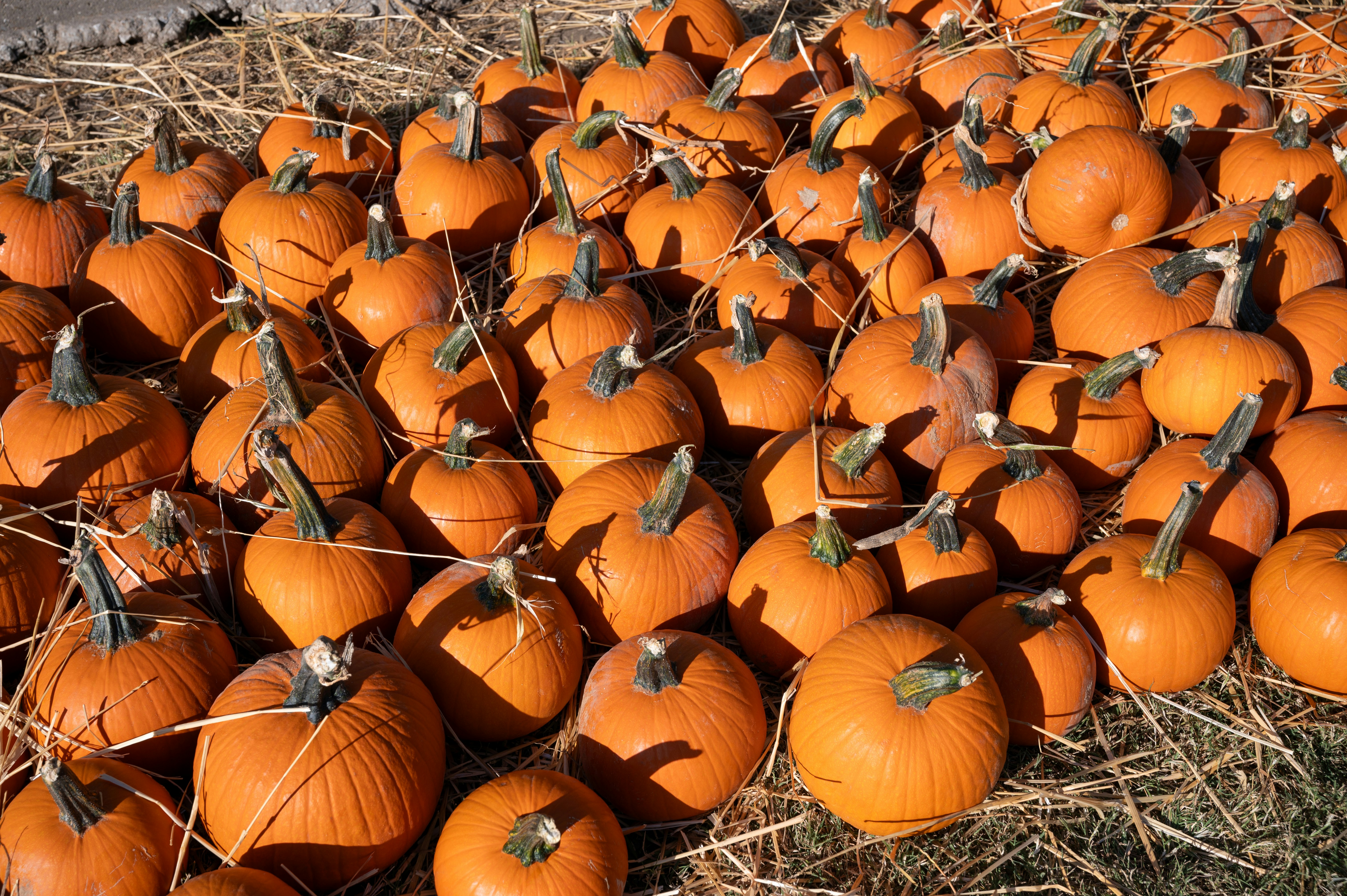 Overland Park cityscape