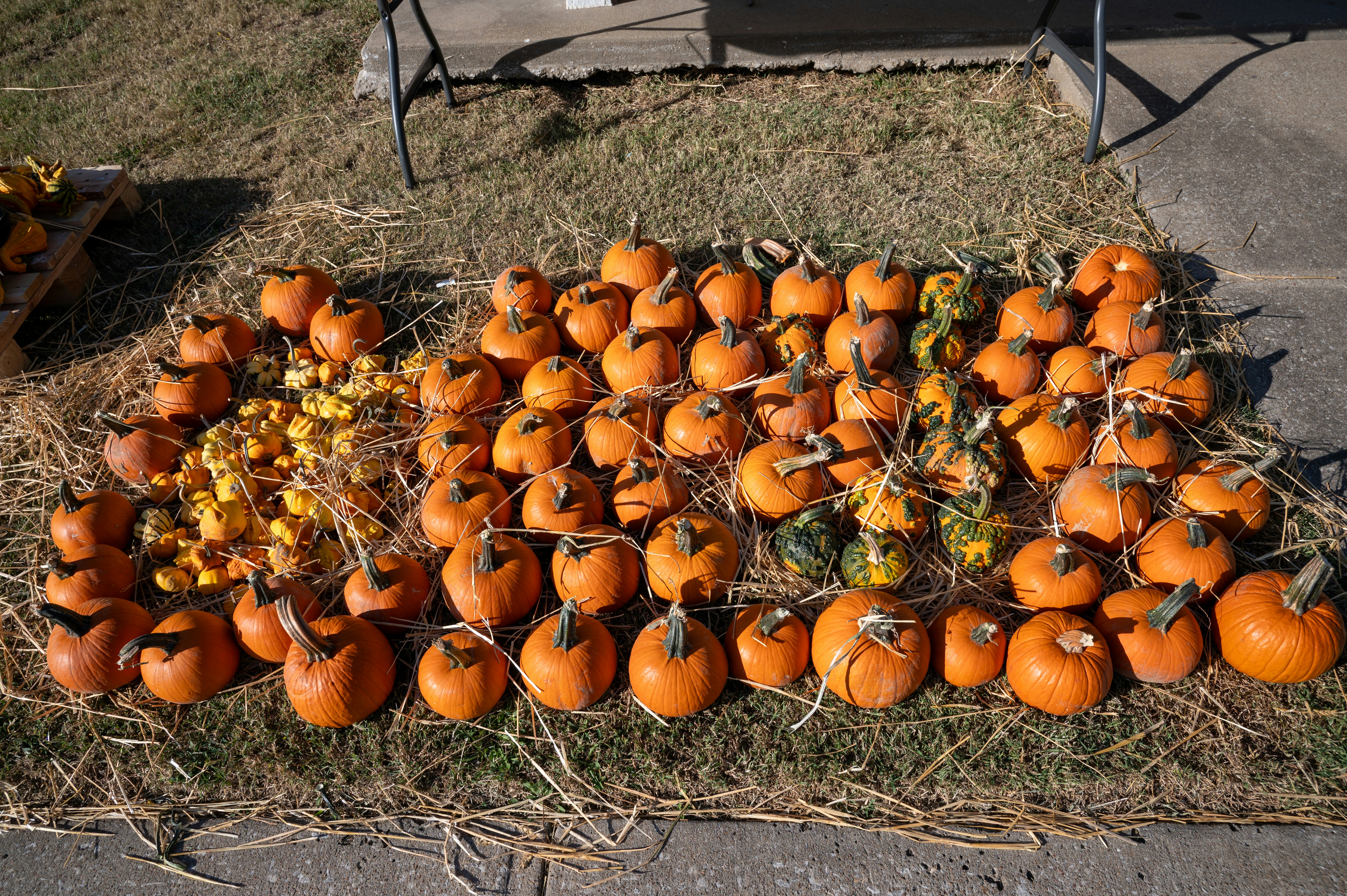 Overland Park cityscape