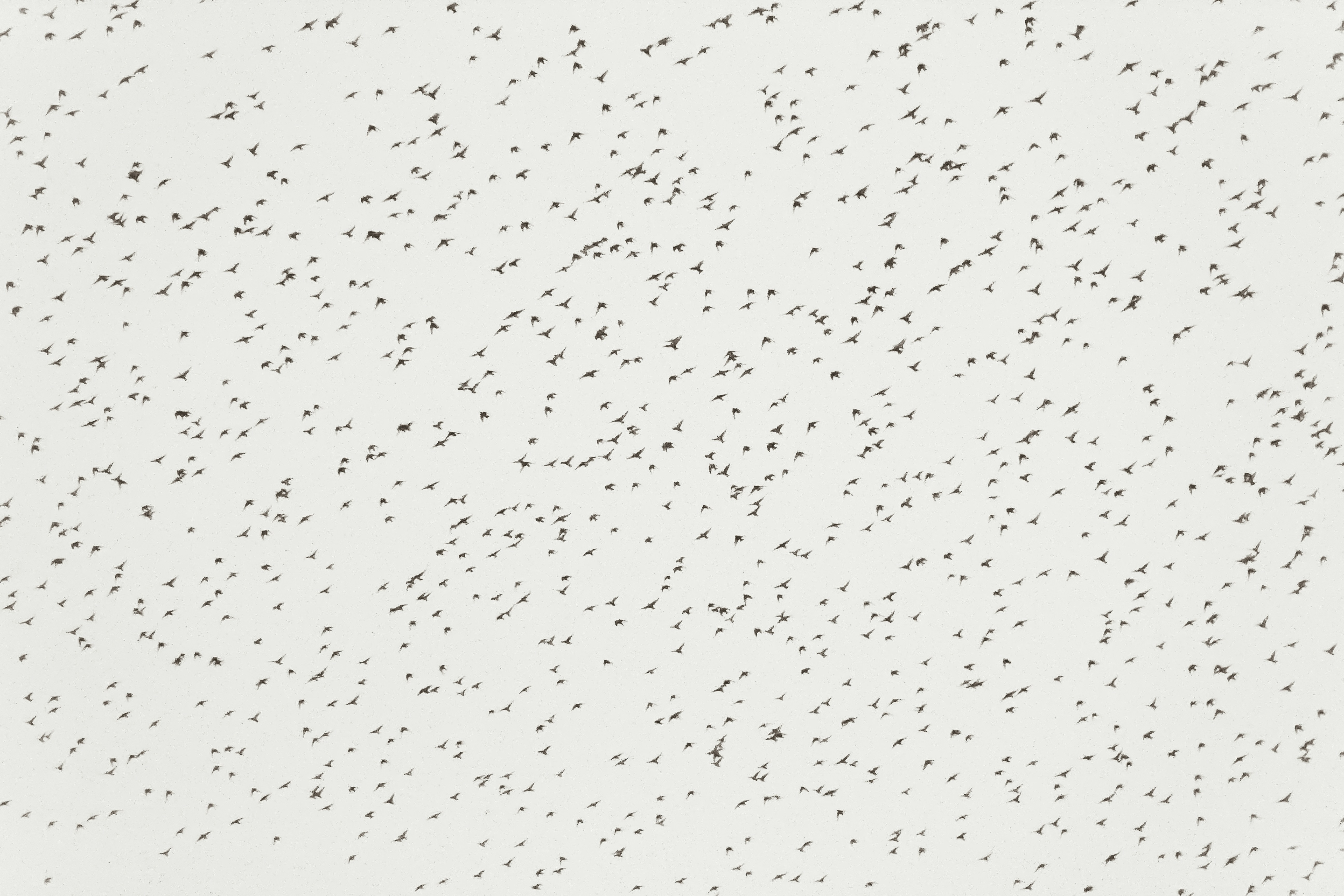 Photo by mikejerskine