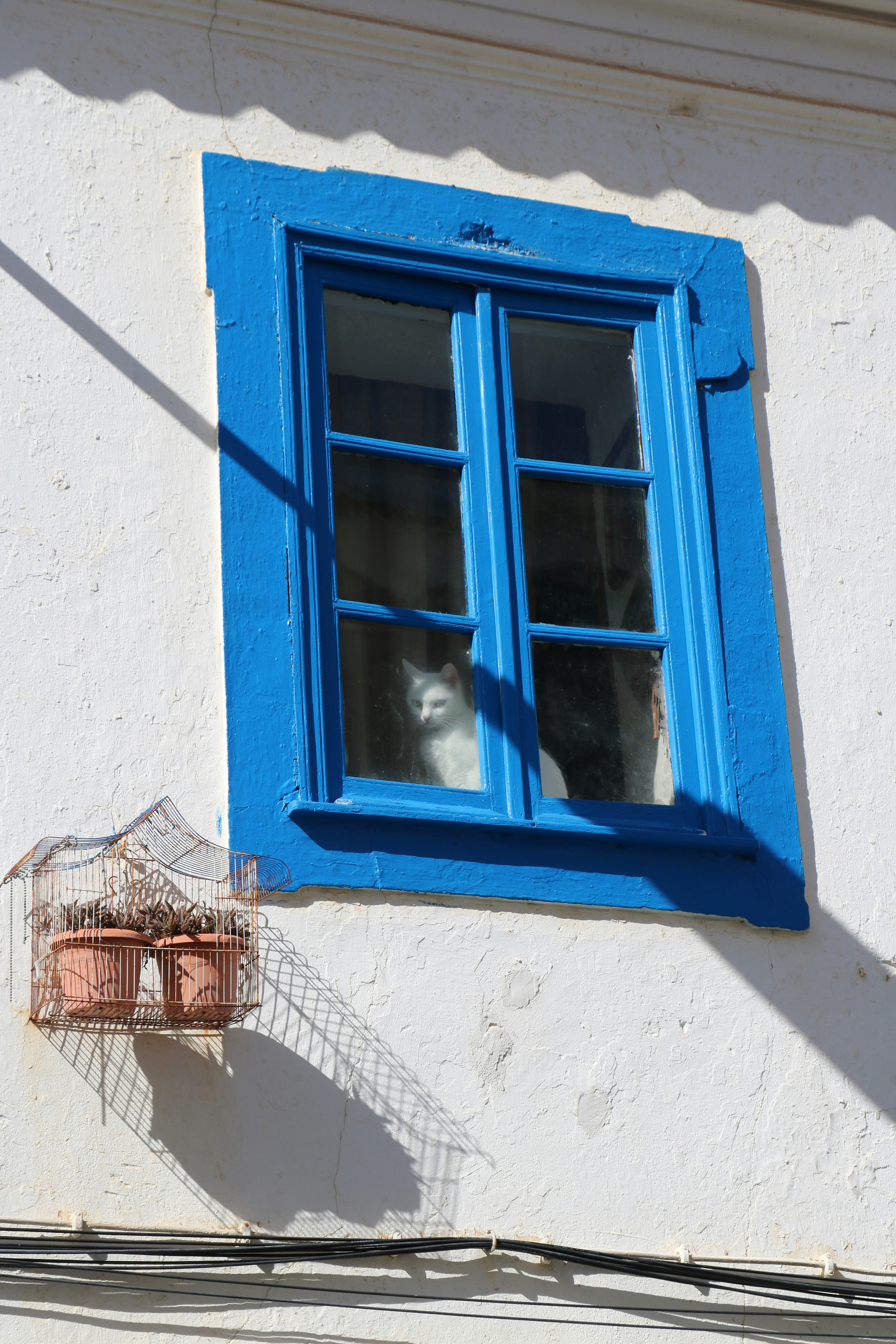 Consulting a window tinting expert