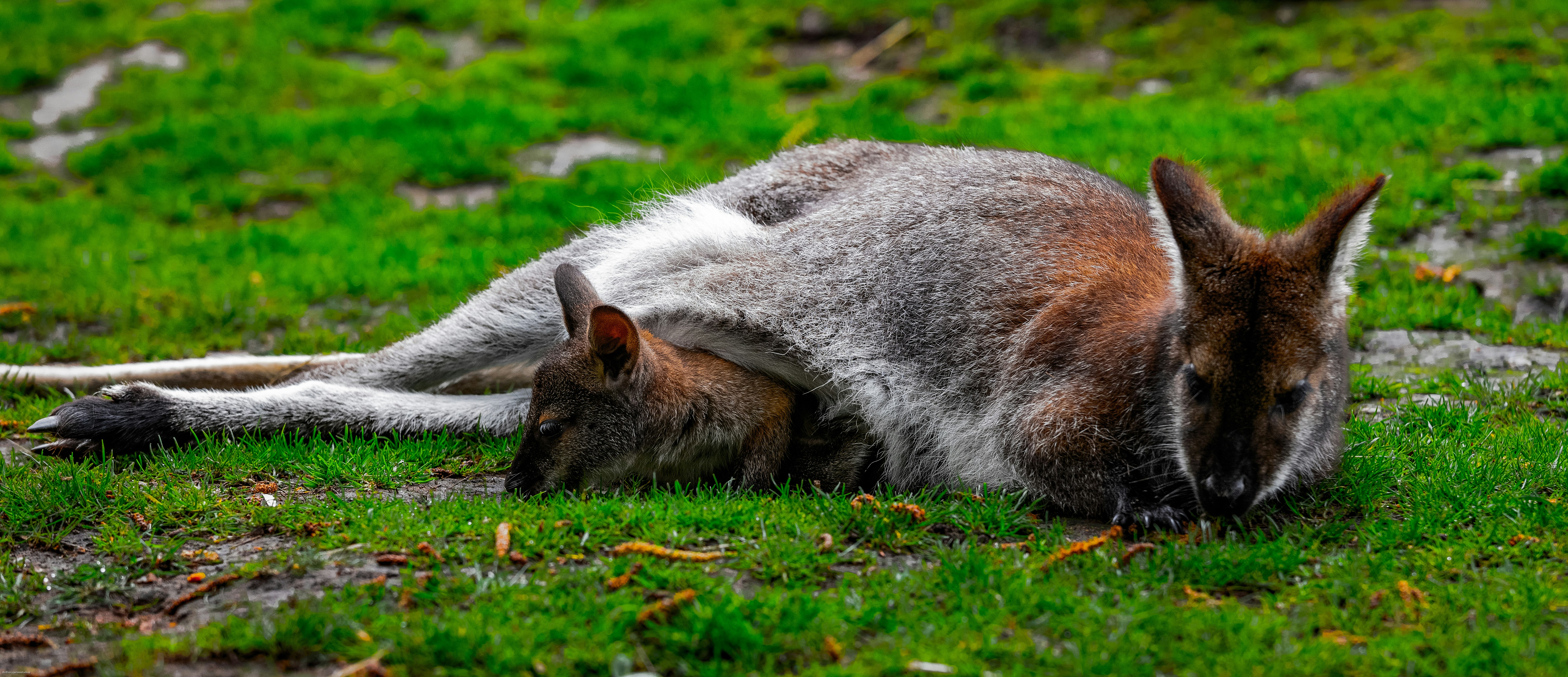 Photo by anthonyjames_f8