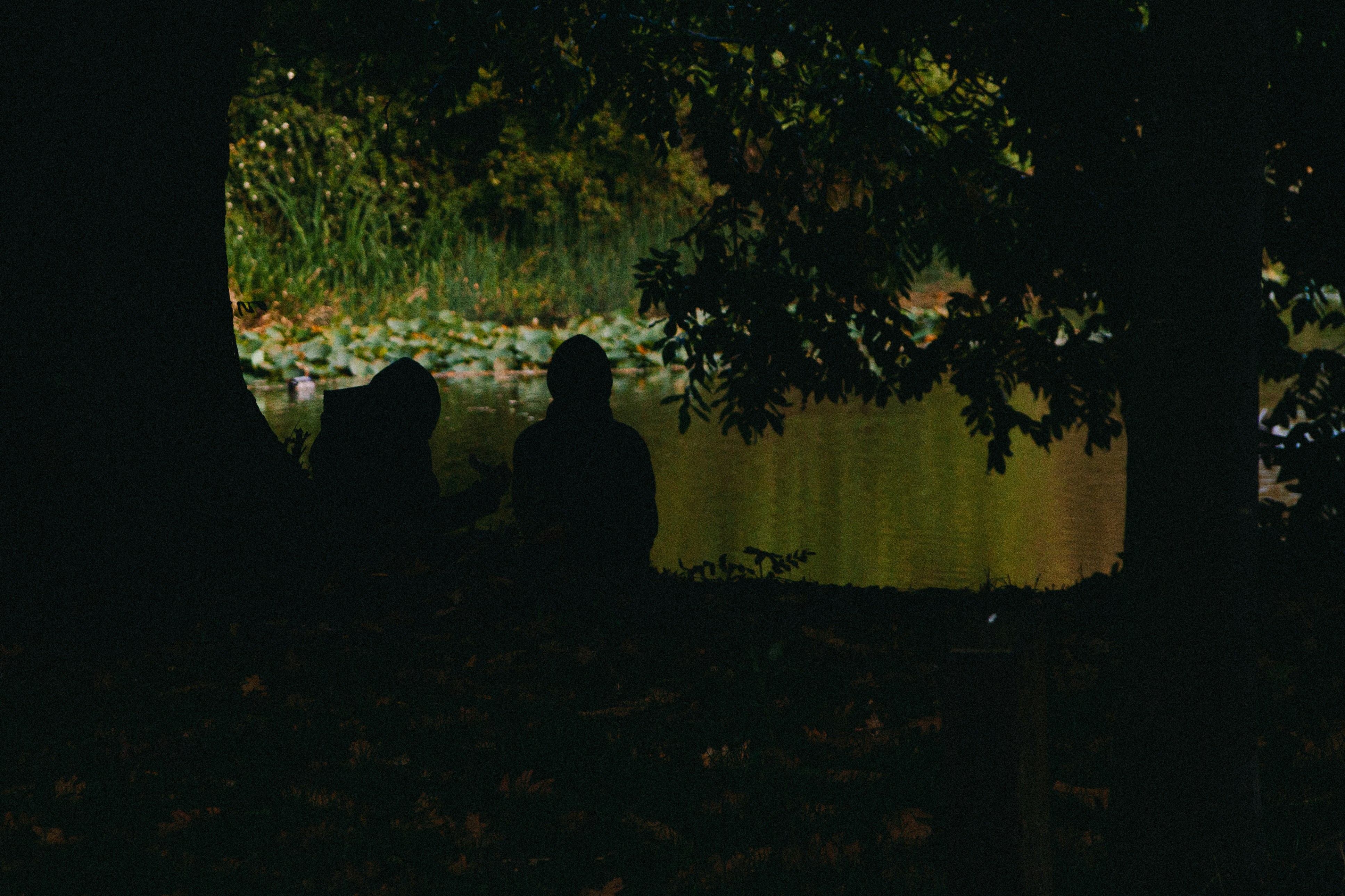 Photo by benkupke