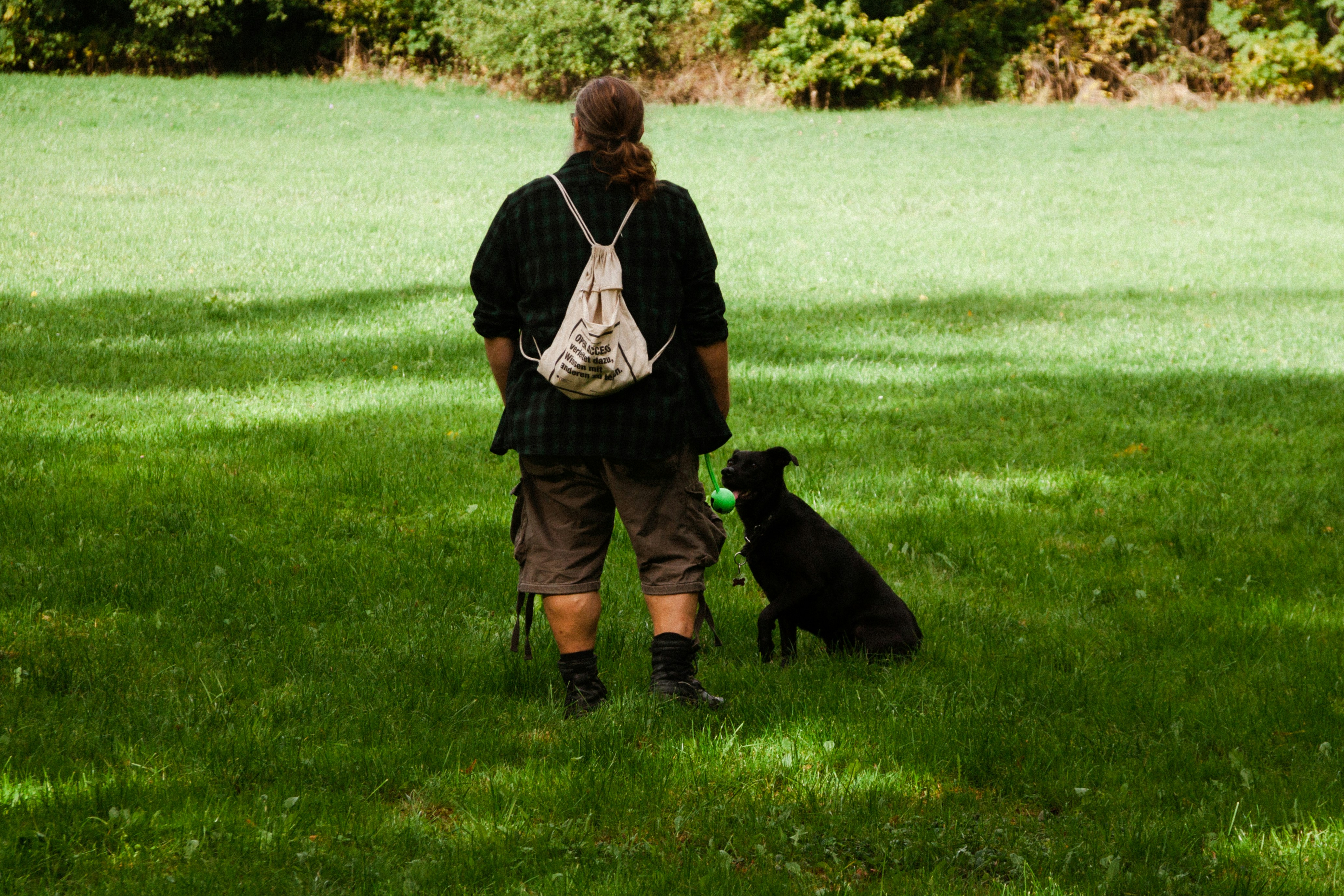 A person and a dog in a grassy field