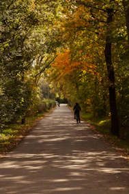 A person walking down a tree lined road