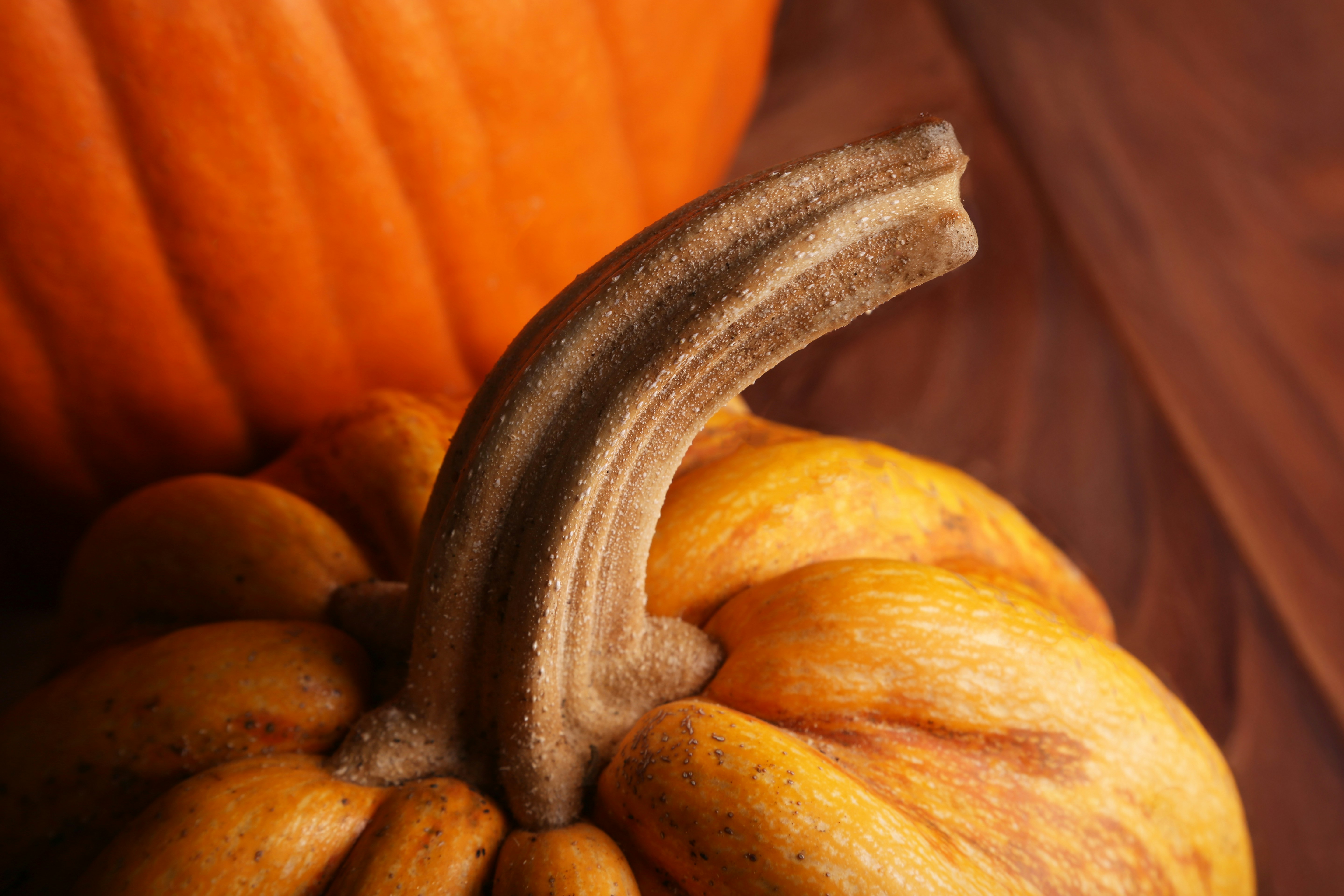 Photo by giorgiotrovato