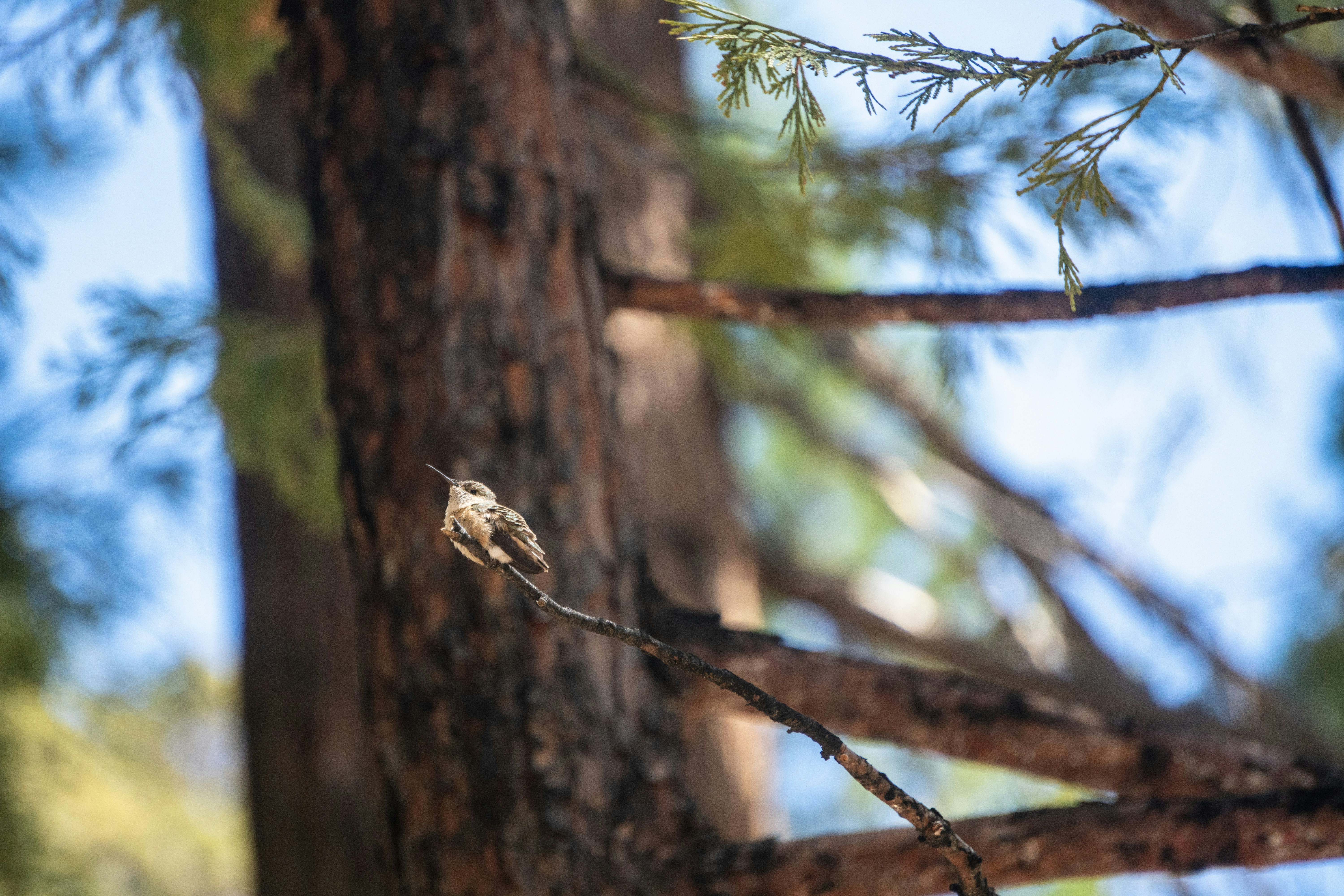 Photo by pmayorphotos