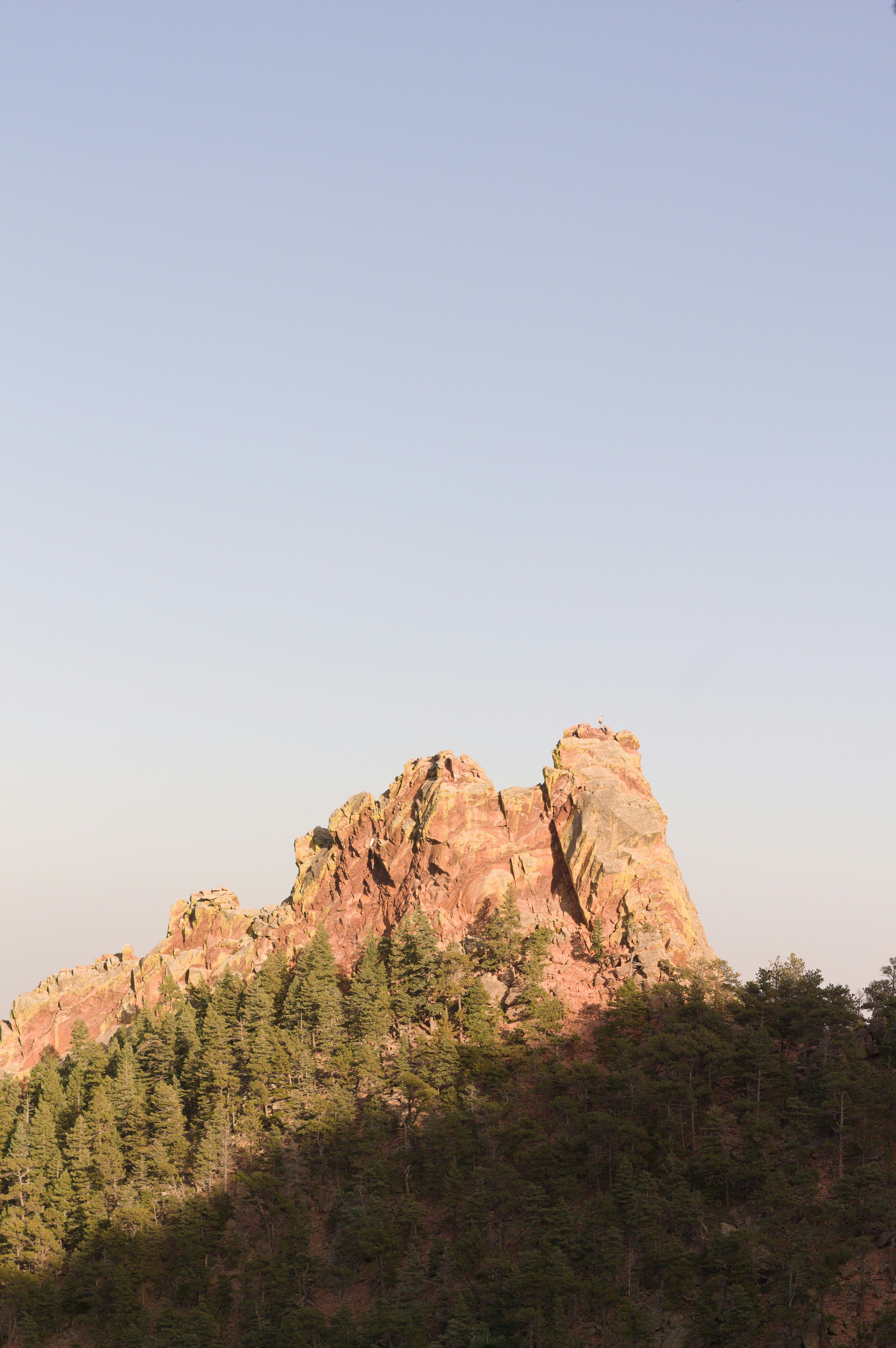 Una montaña con algunos árboles en la cima