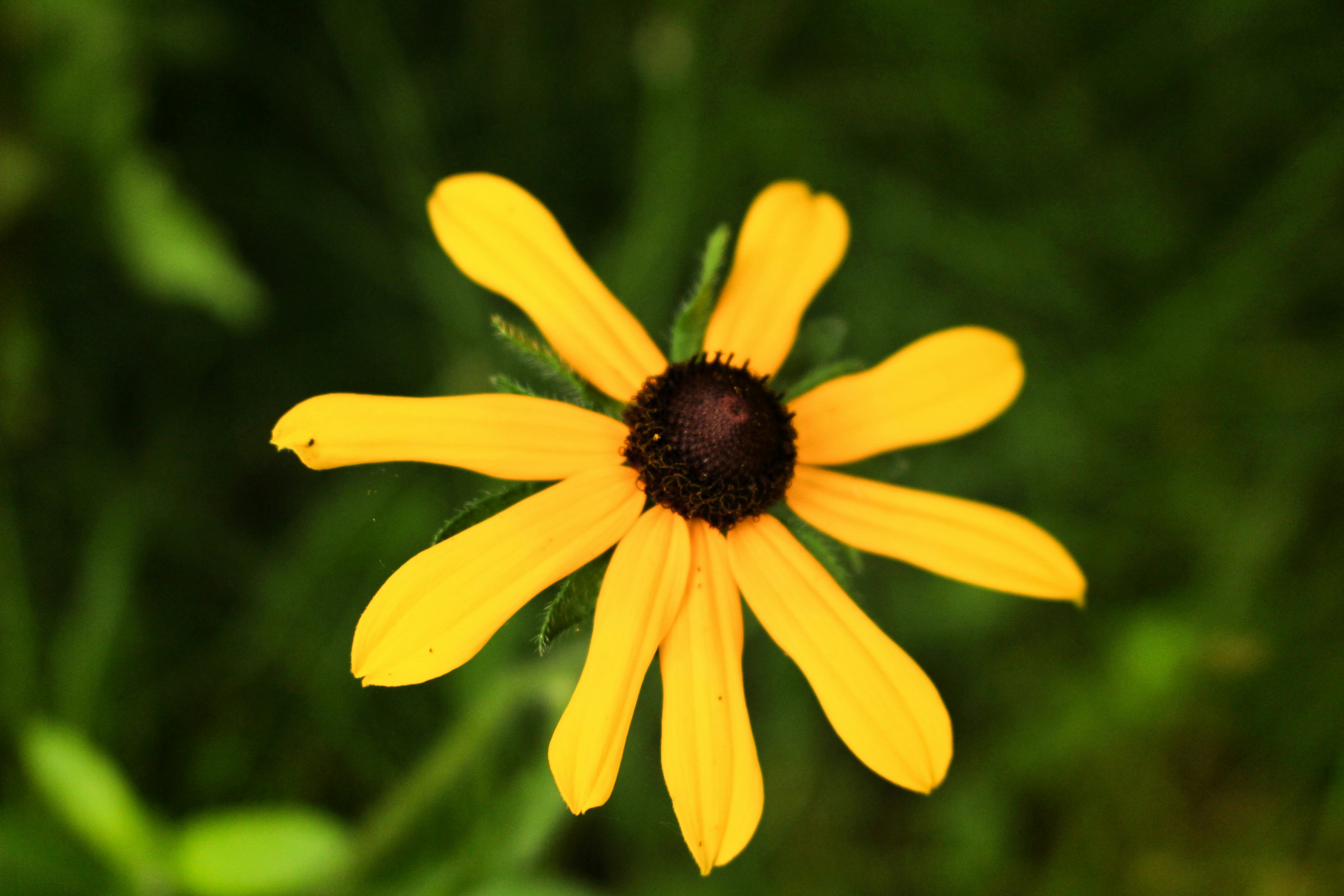 Photo by elijahaustin