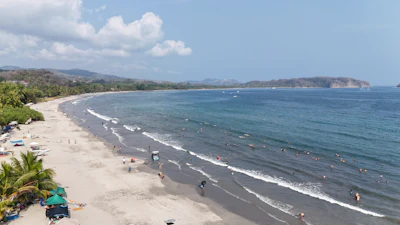 A beach with a lot of people on it