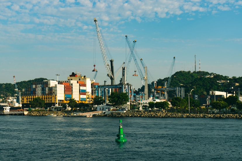 A body of water with a city in the background