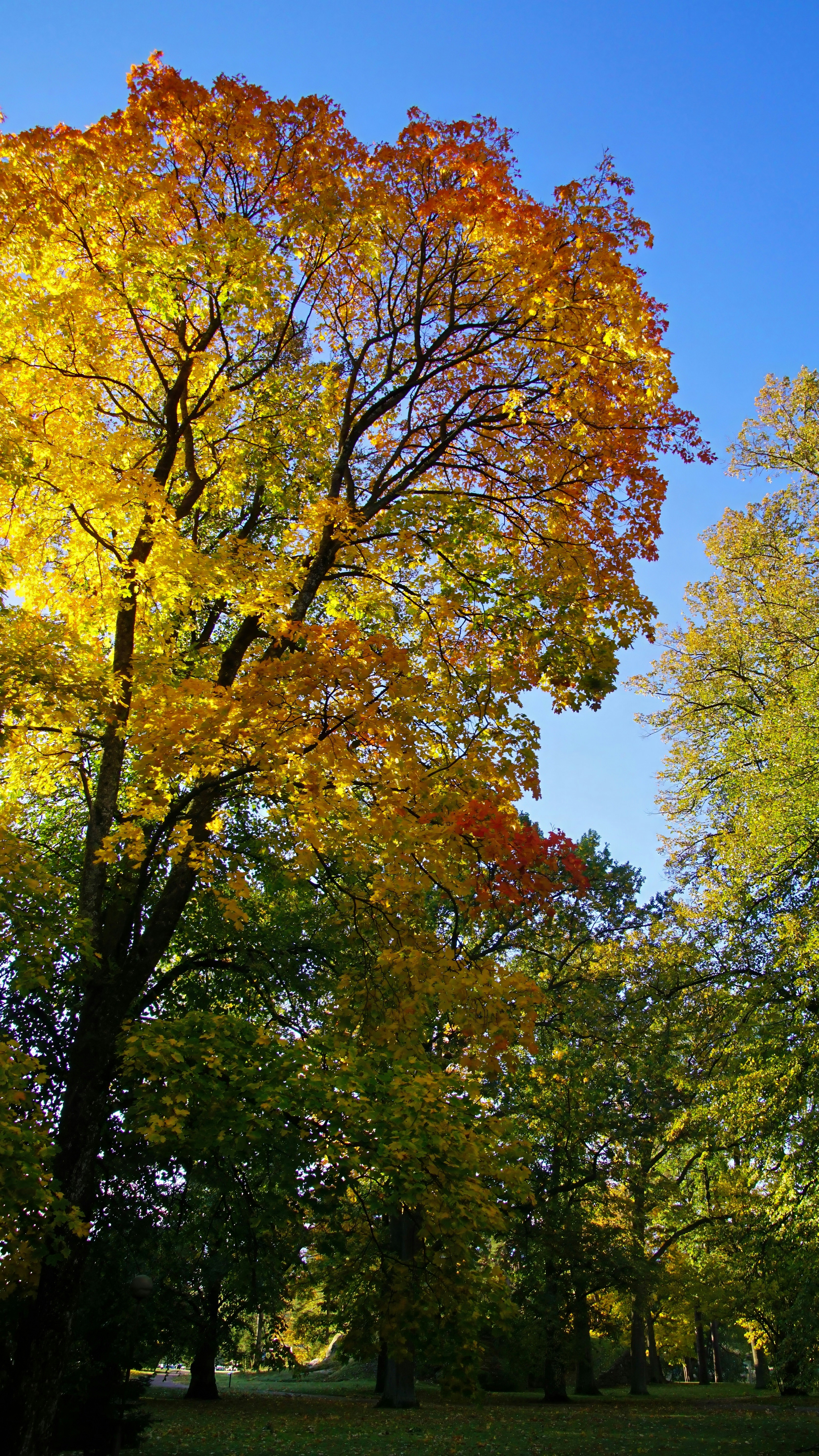 Photo by marttisalmi