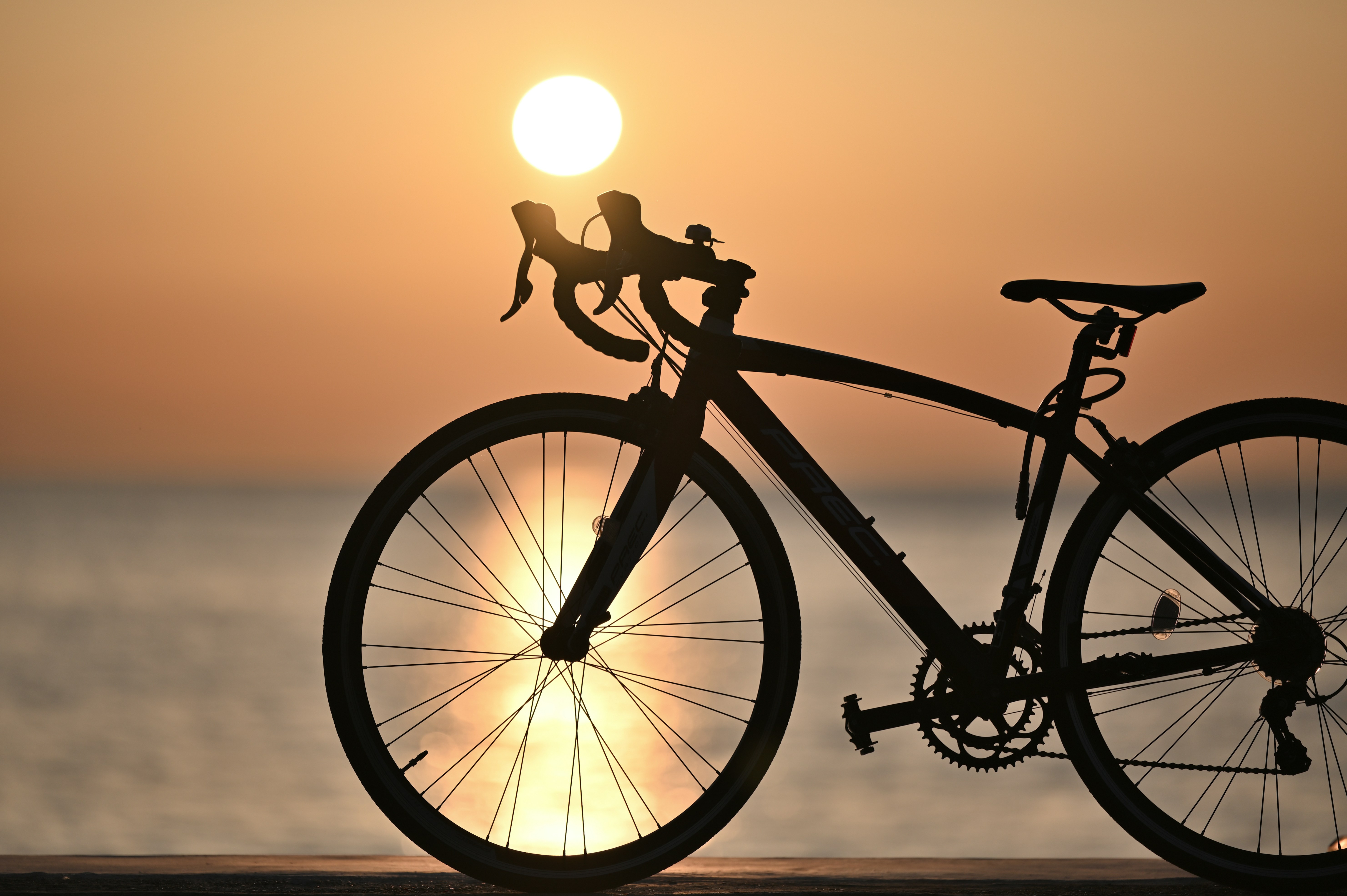 자전거 장갑 착용한 손