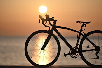 A bike parked on the beach at sunset