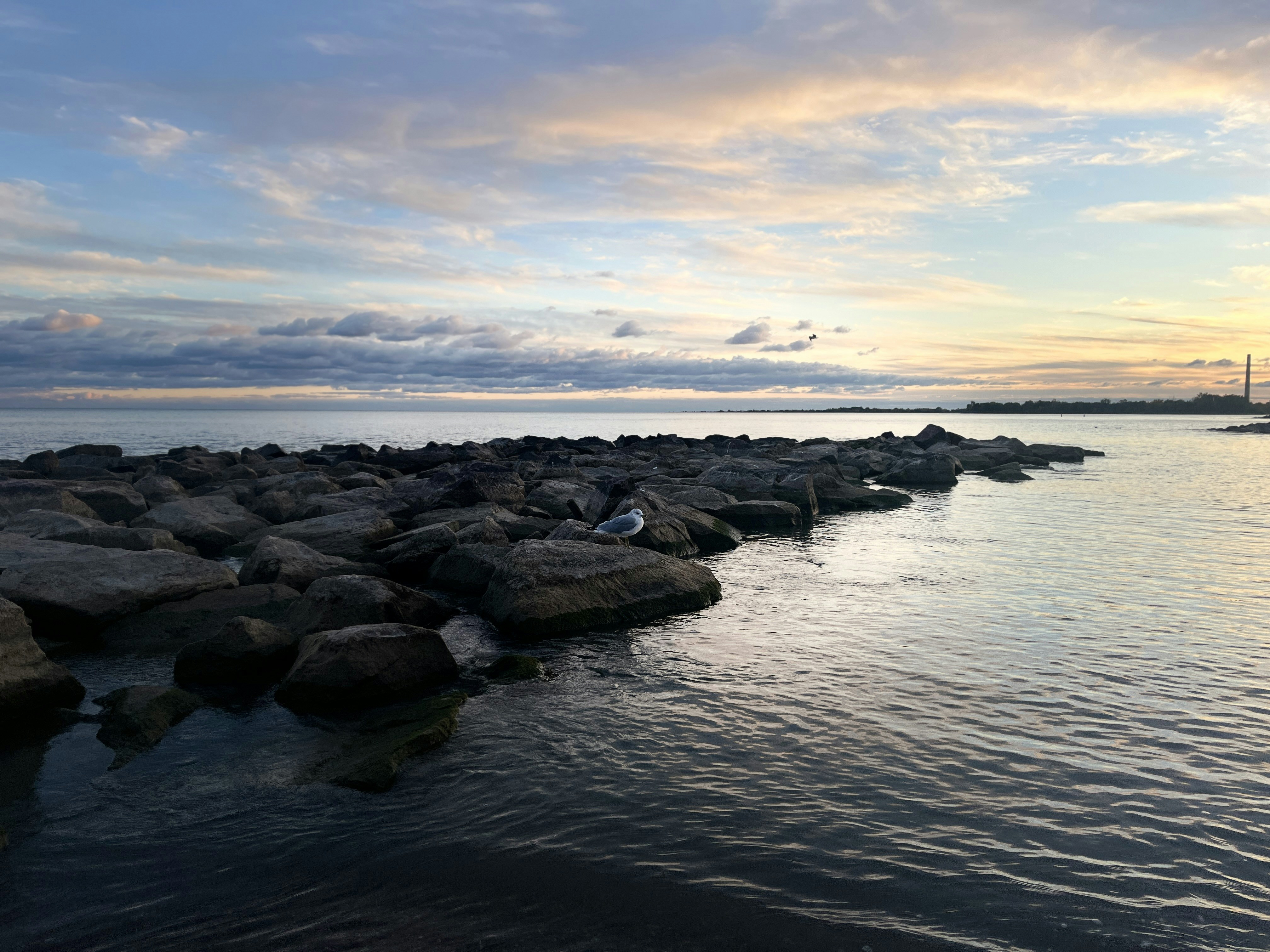 Photo by sanjoy_design