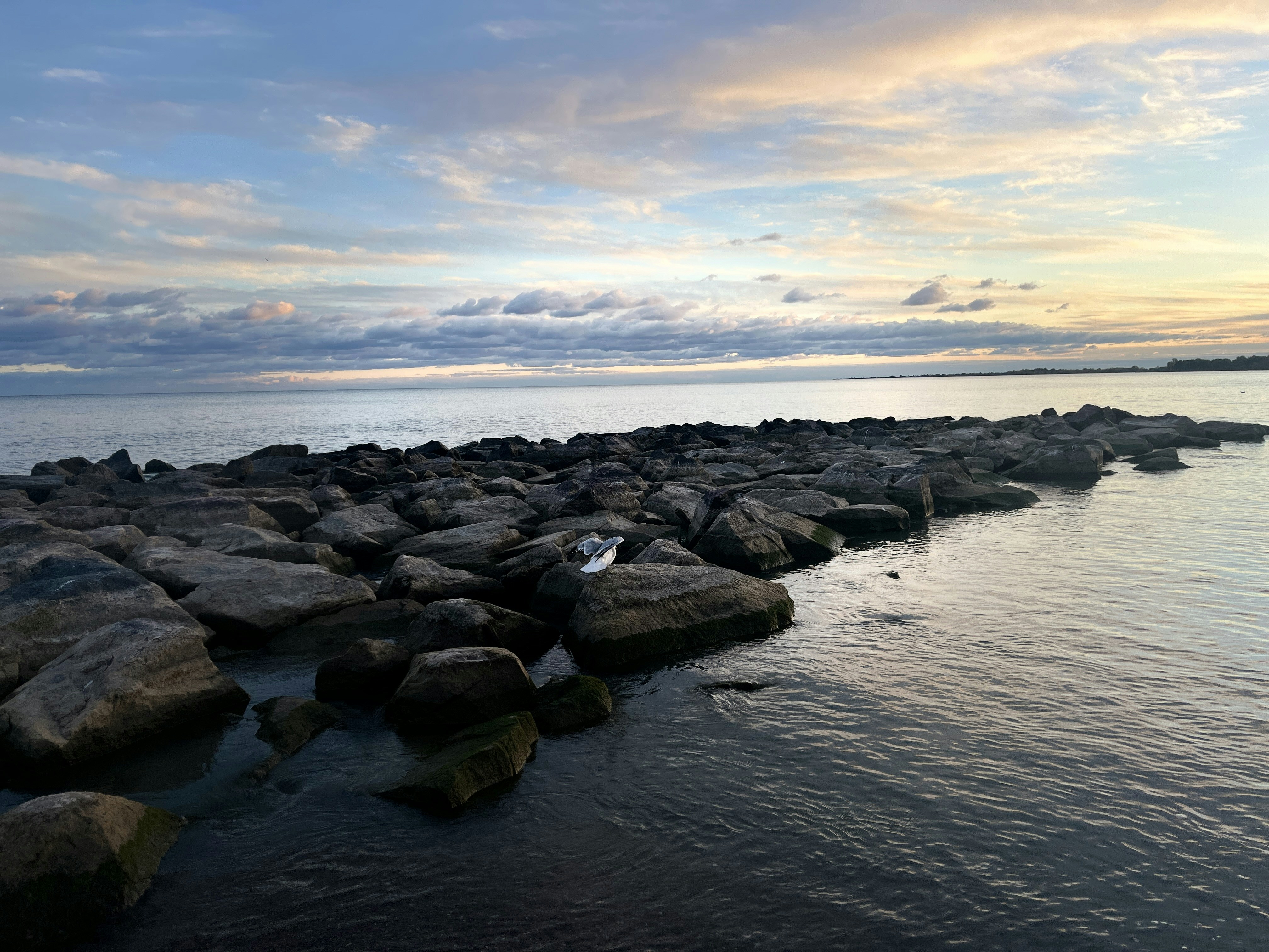 Photo by sanjoy_design