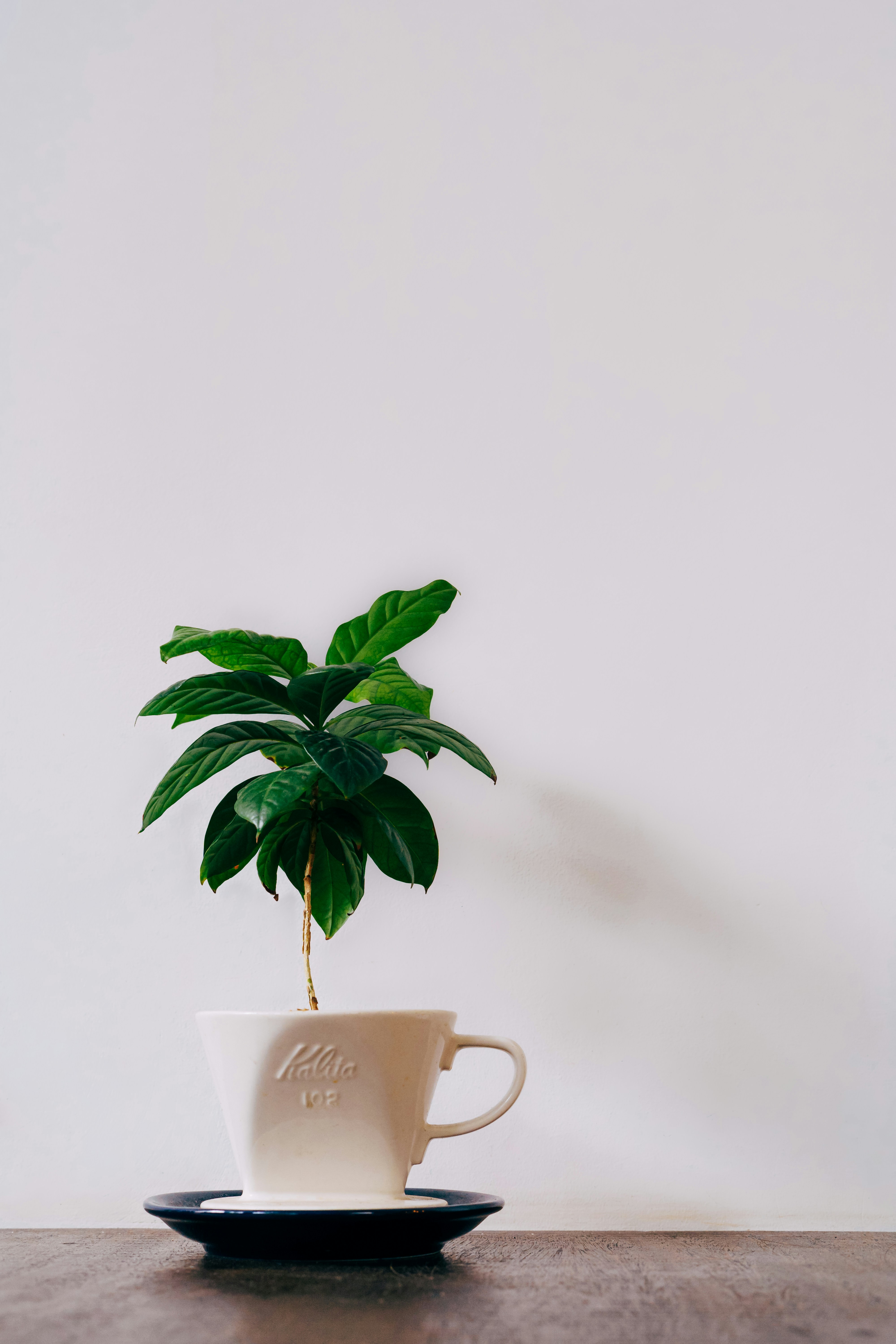 Photo by thomspon_le