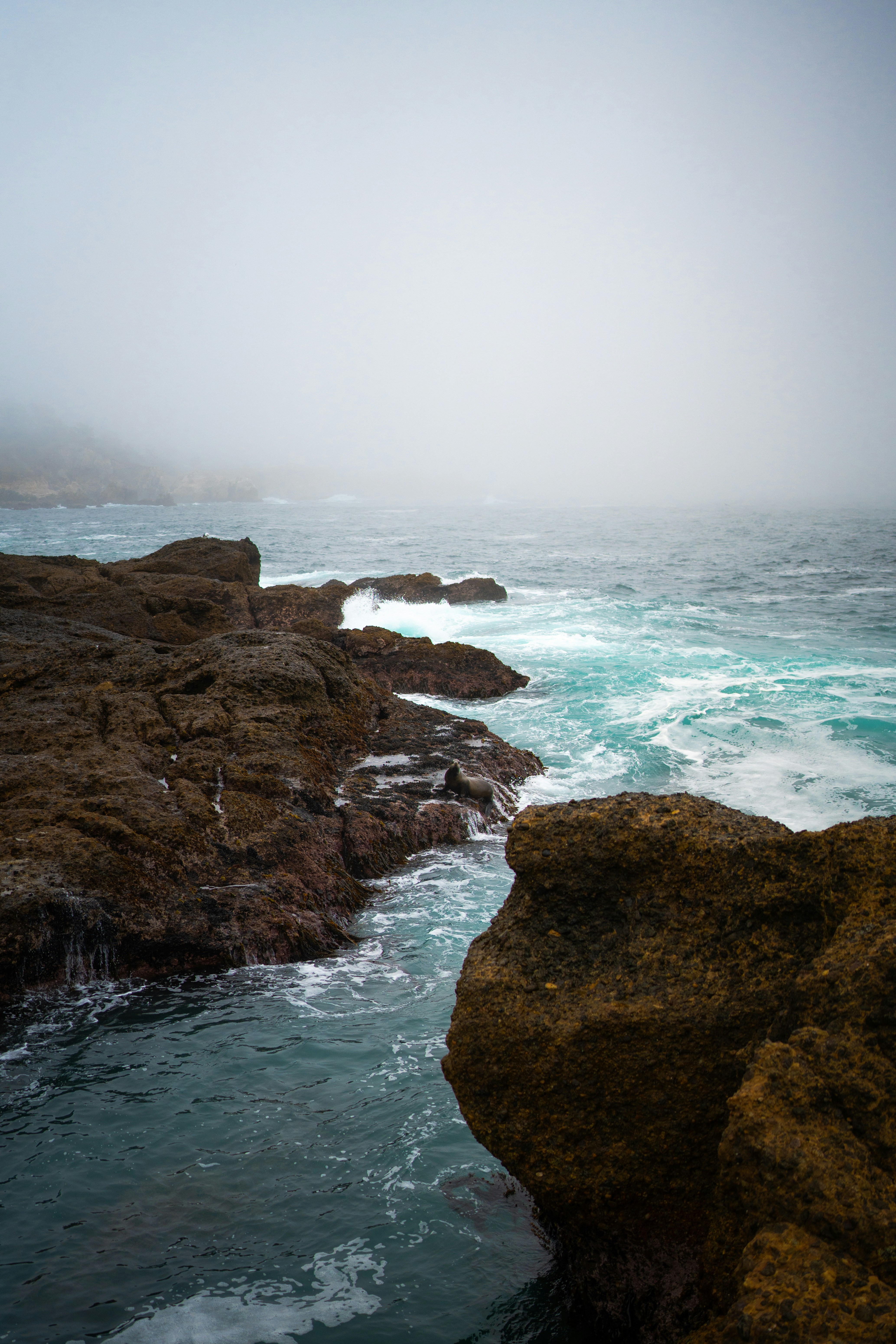 Photo by mbcarterphotography