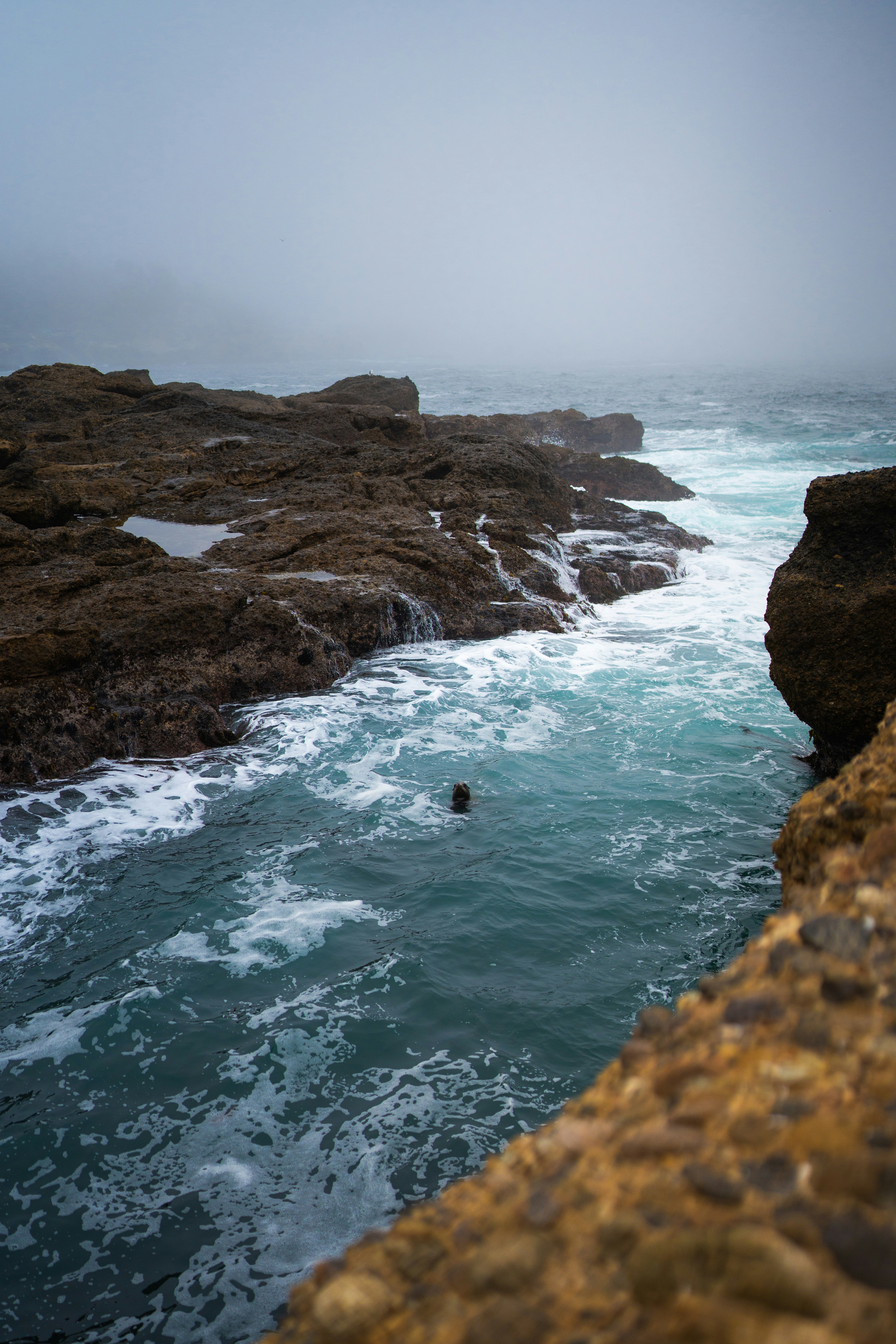 Photo by mbcarterphotography