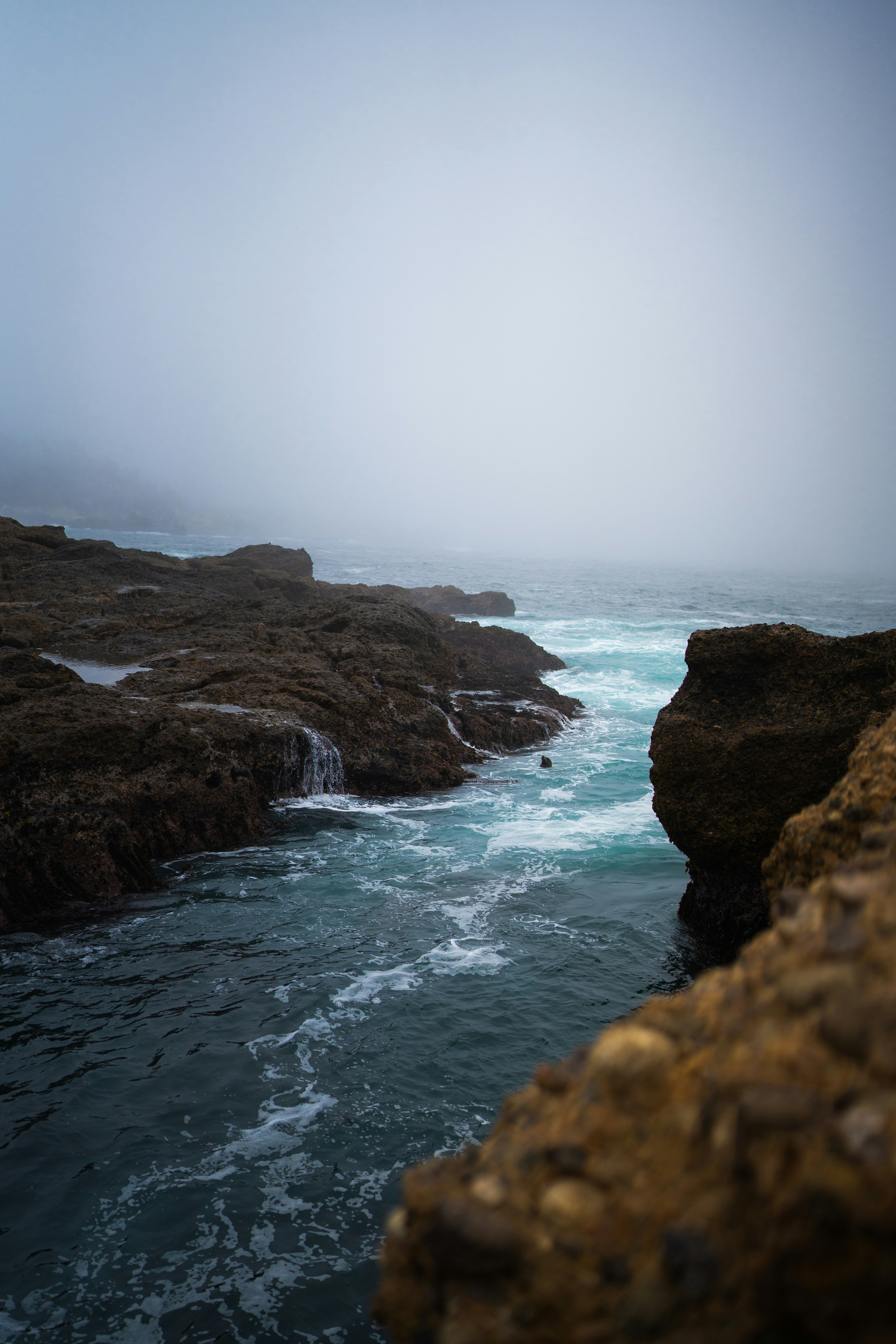 Photo by mbcarterphotography