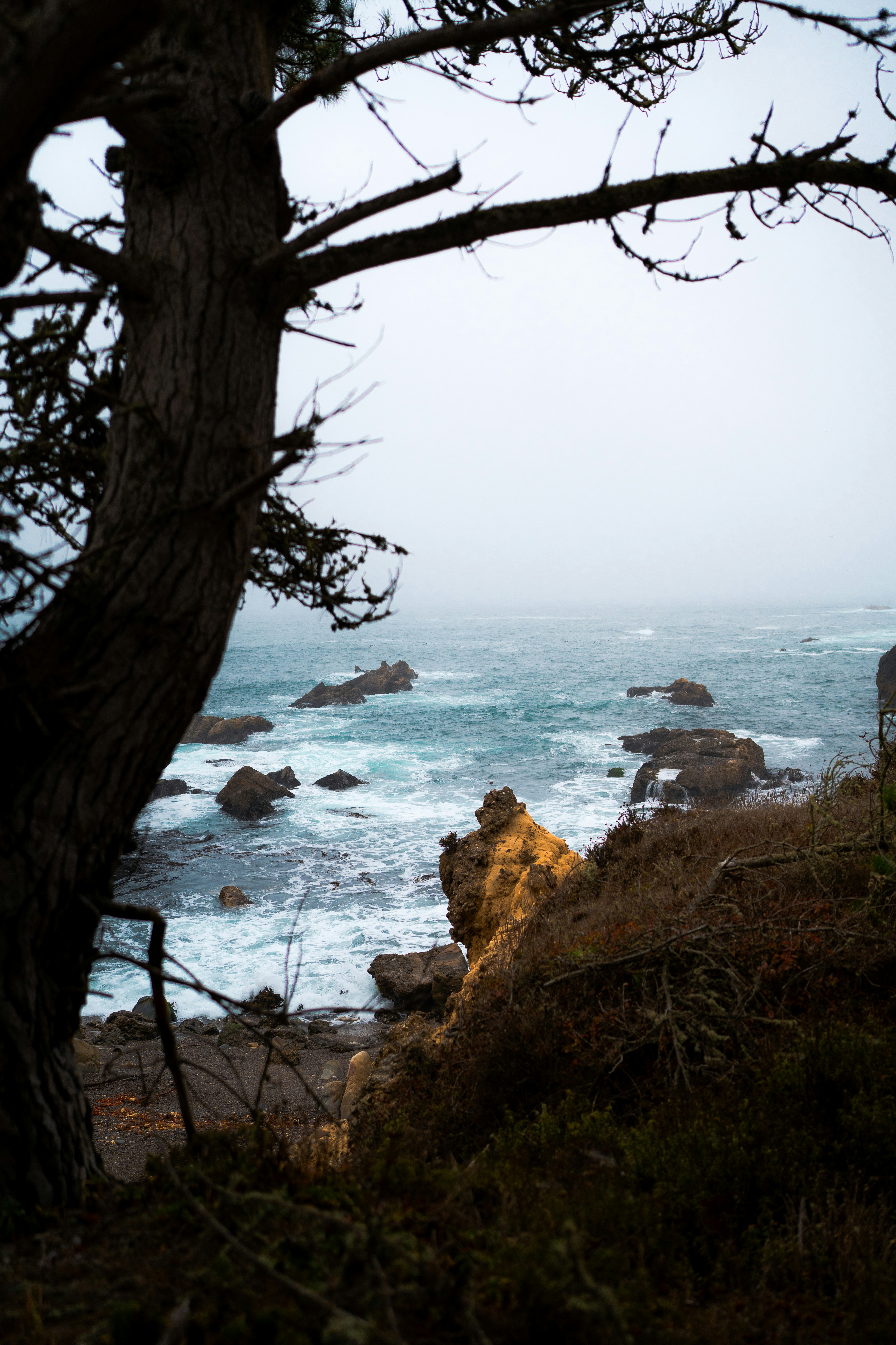 Photo by mbcarterphotography