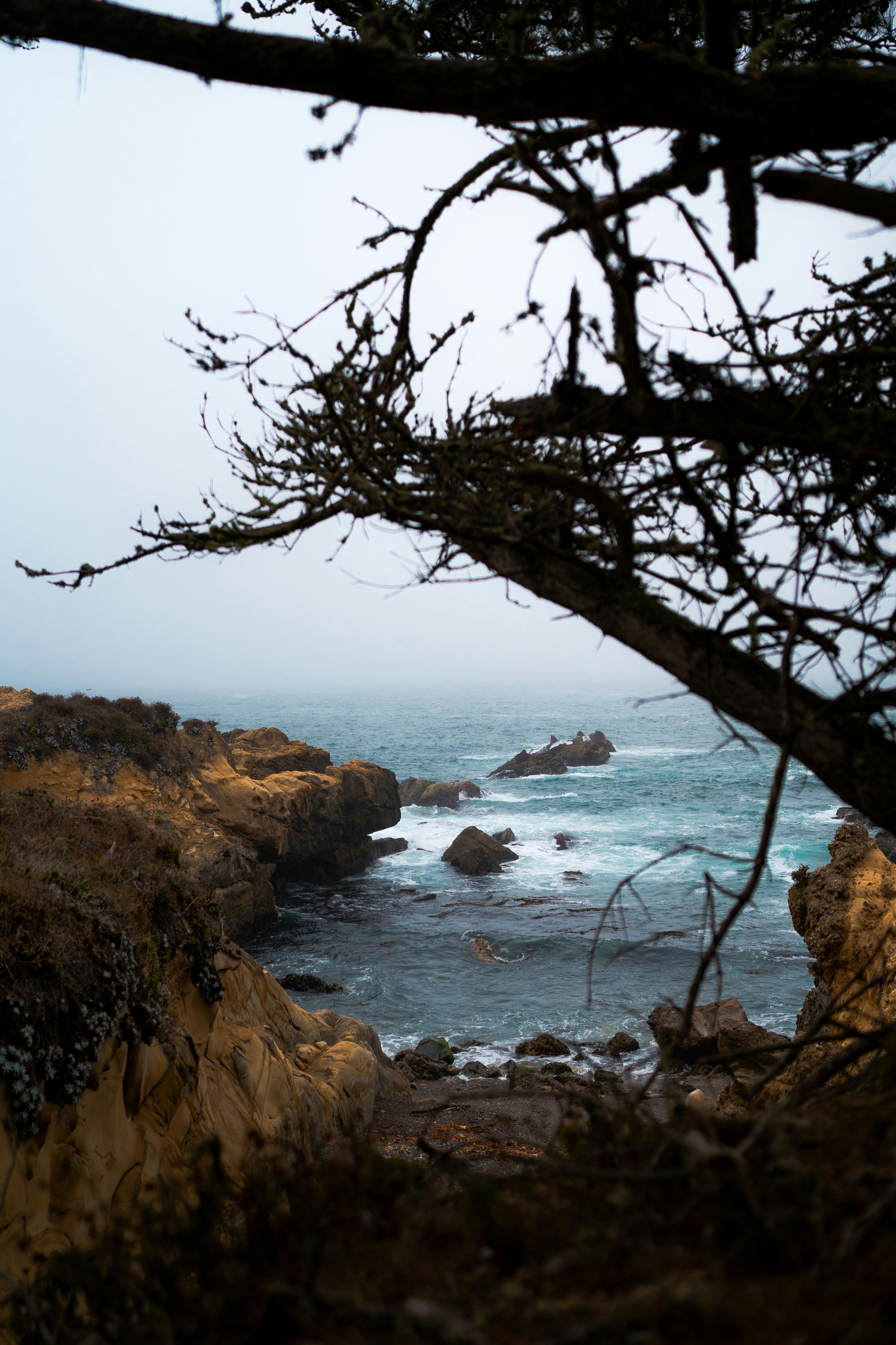 Photo by mbcarterphotography