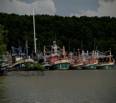 A bunch of boats that are sitting in the water