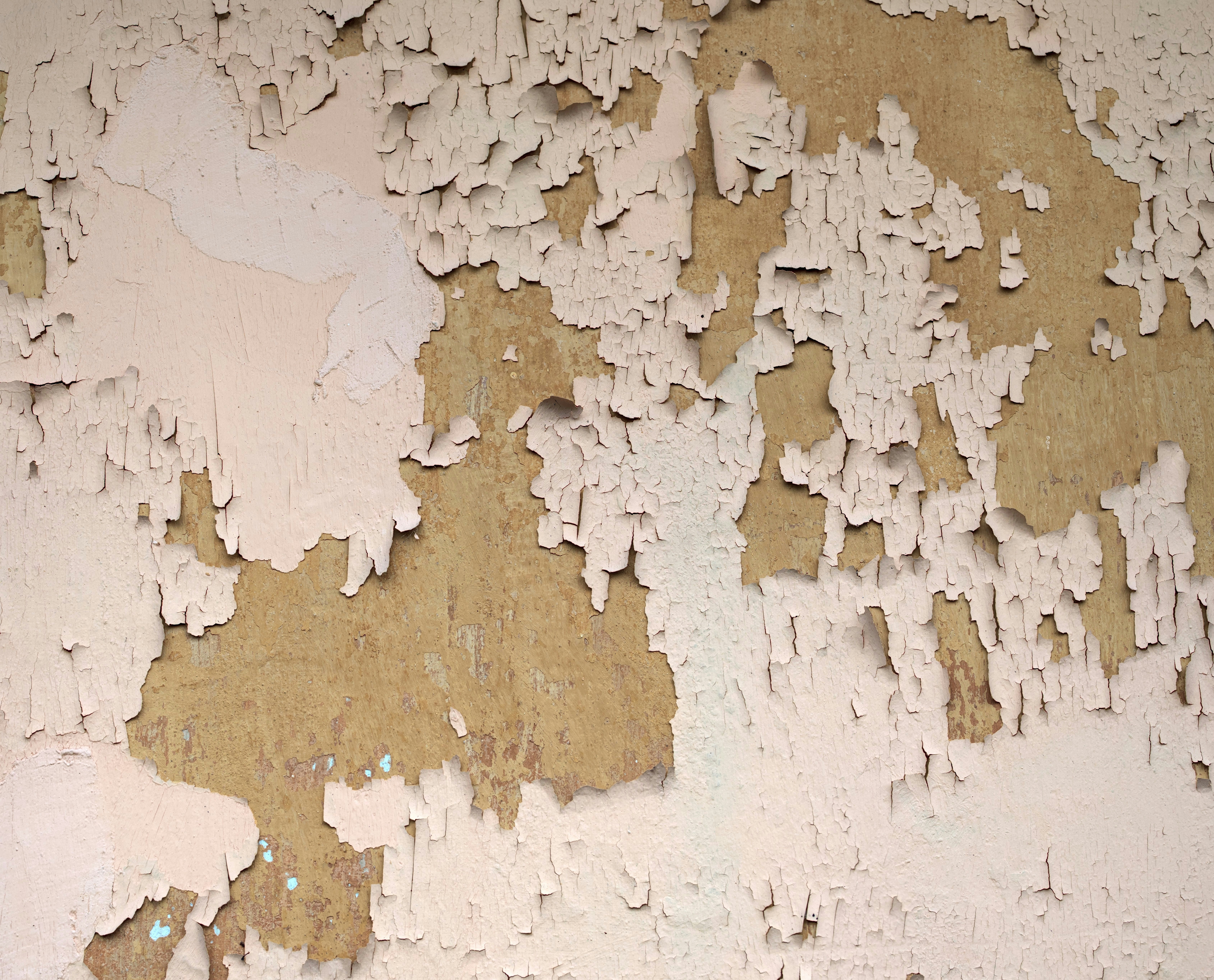 Photo by simon_berger