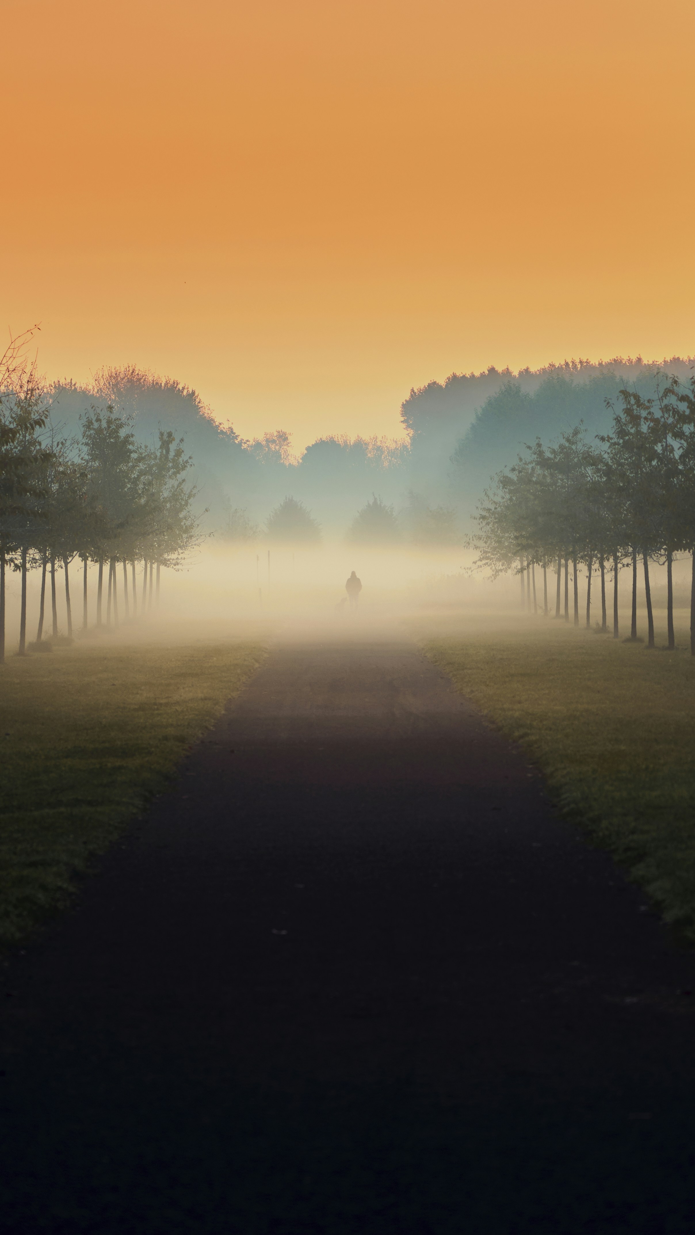 A person walking down a path in the middle of a field