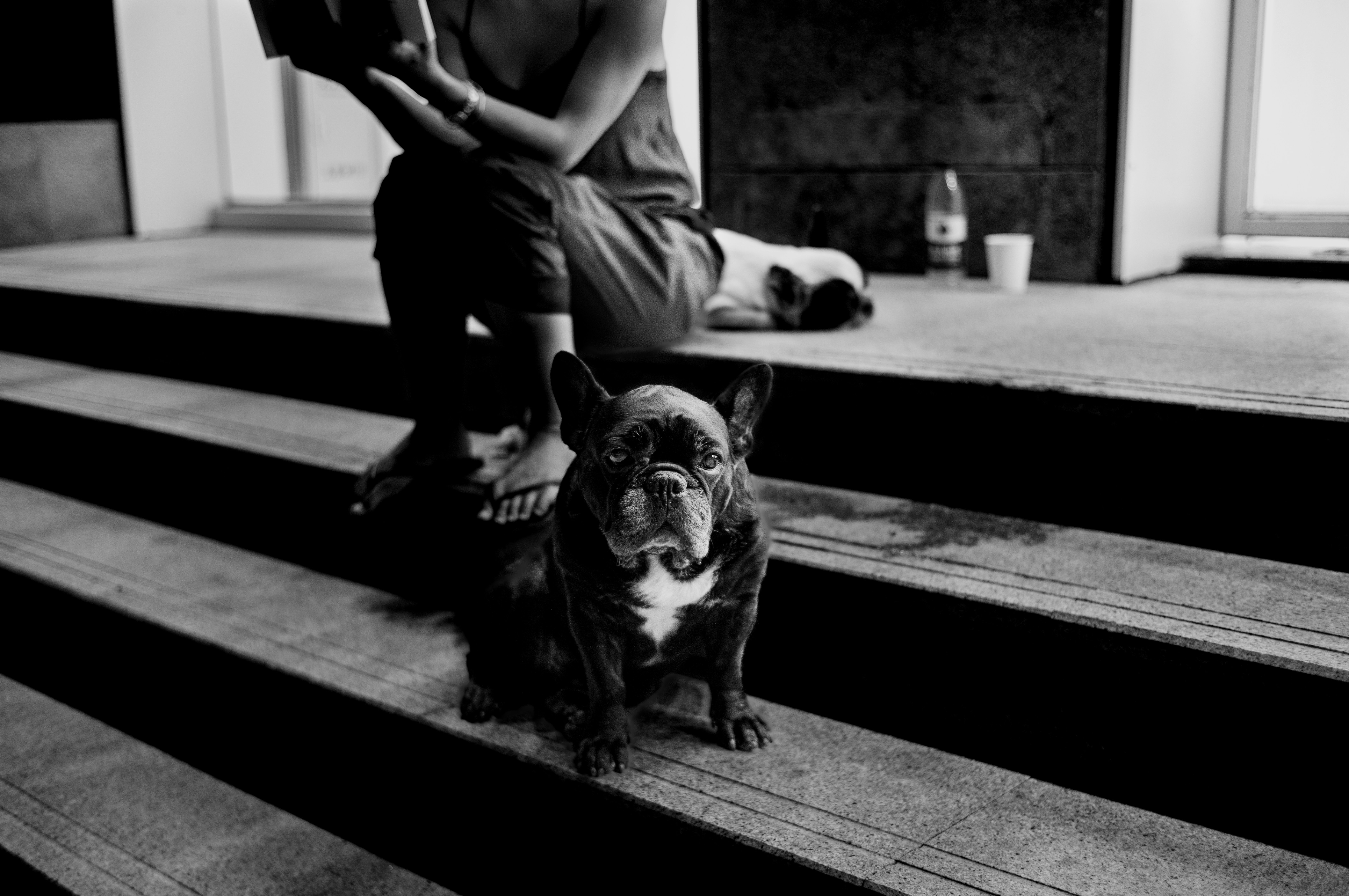 A man sitting on the steps with his dog