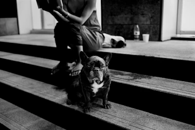A man sitting on the steps with his dog