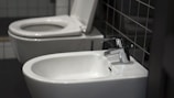 A white toilet sitting next to a white sink